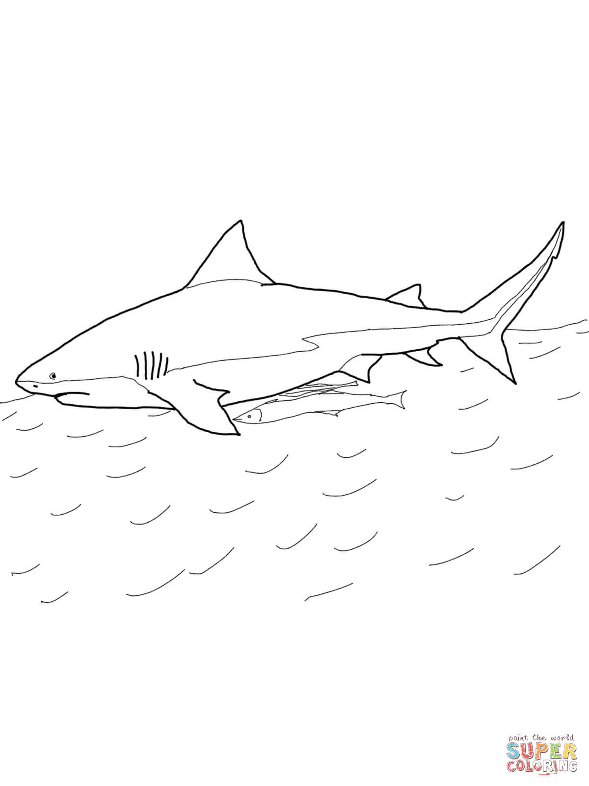 Megalodon Shark Drawing at GetDrawings.com | Free for personal use ...