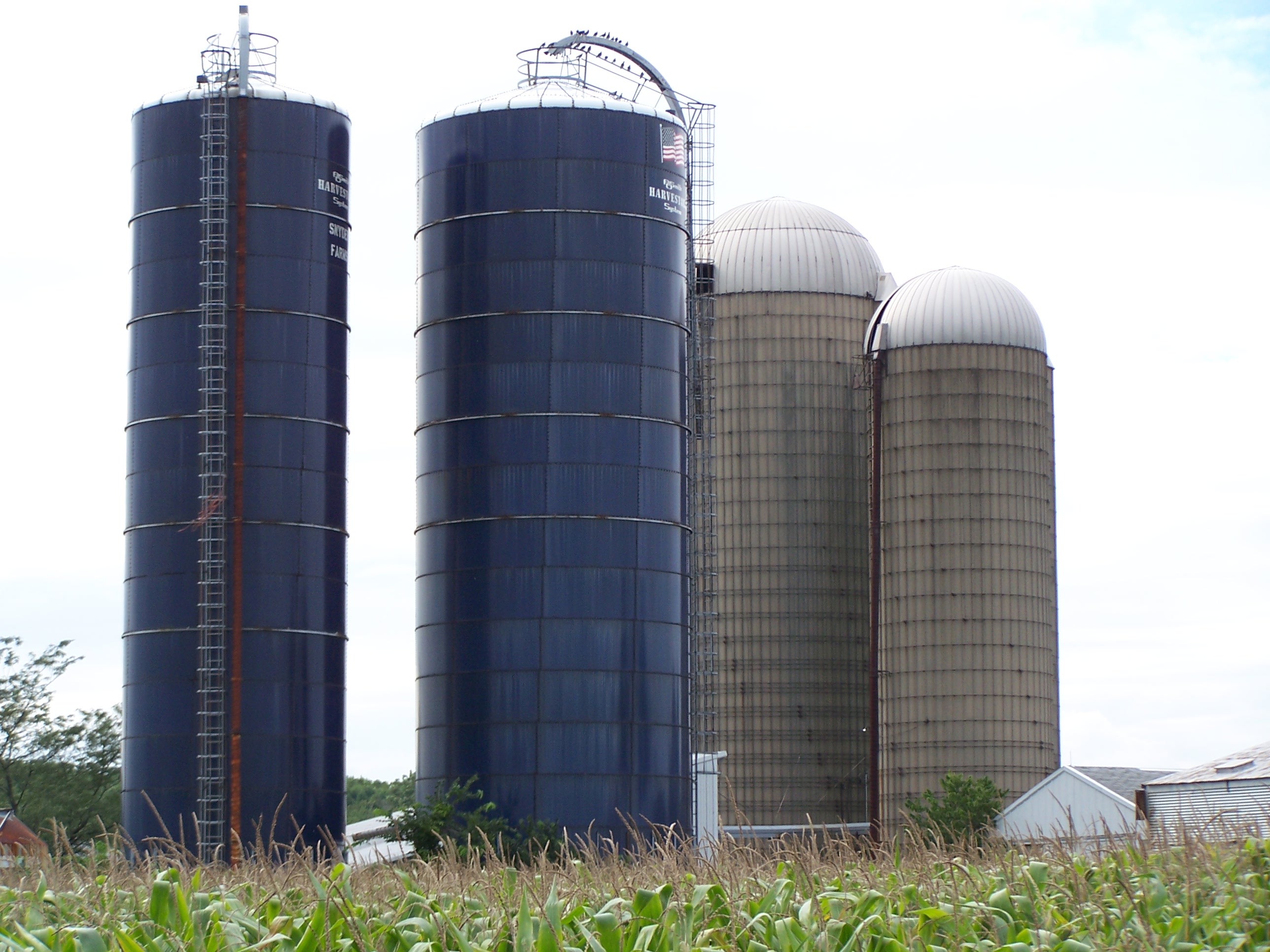 File:Silos in Indiana.jpg - Wikimedia Commons