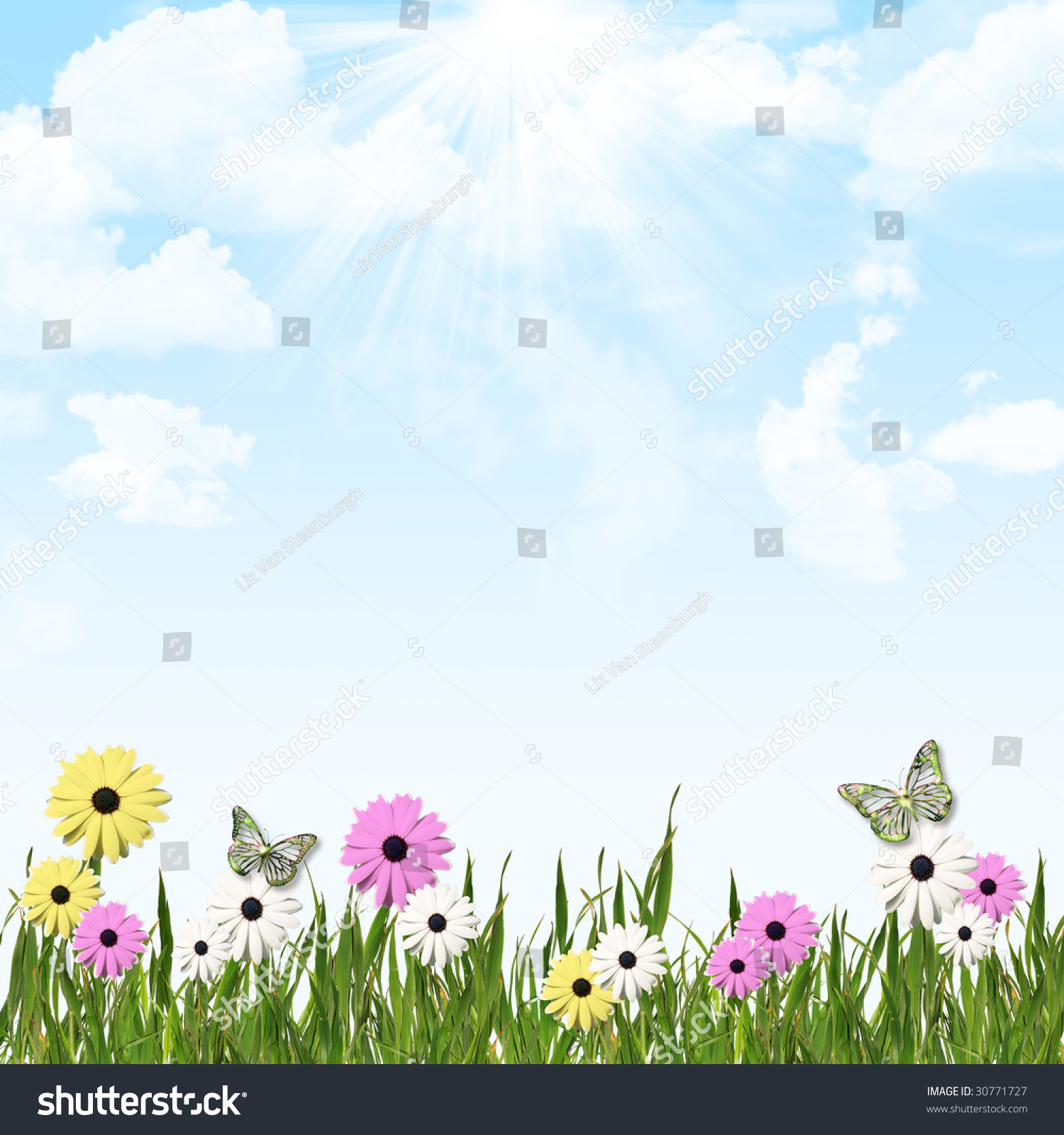 Blue Sky Cloud Background Grass Flower Stock Illustration 30771727 ...