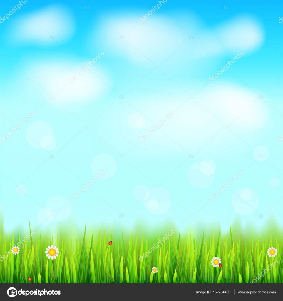 Summer landscape background, green, natural grass border with white ...