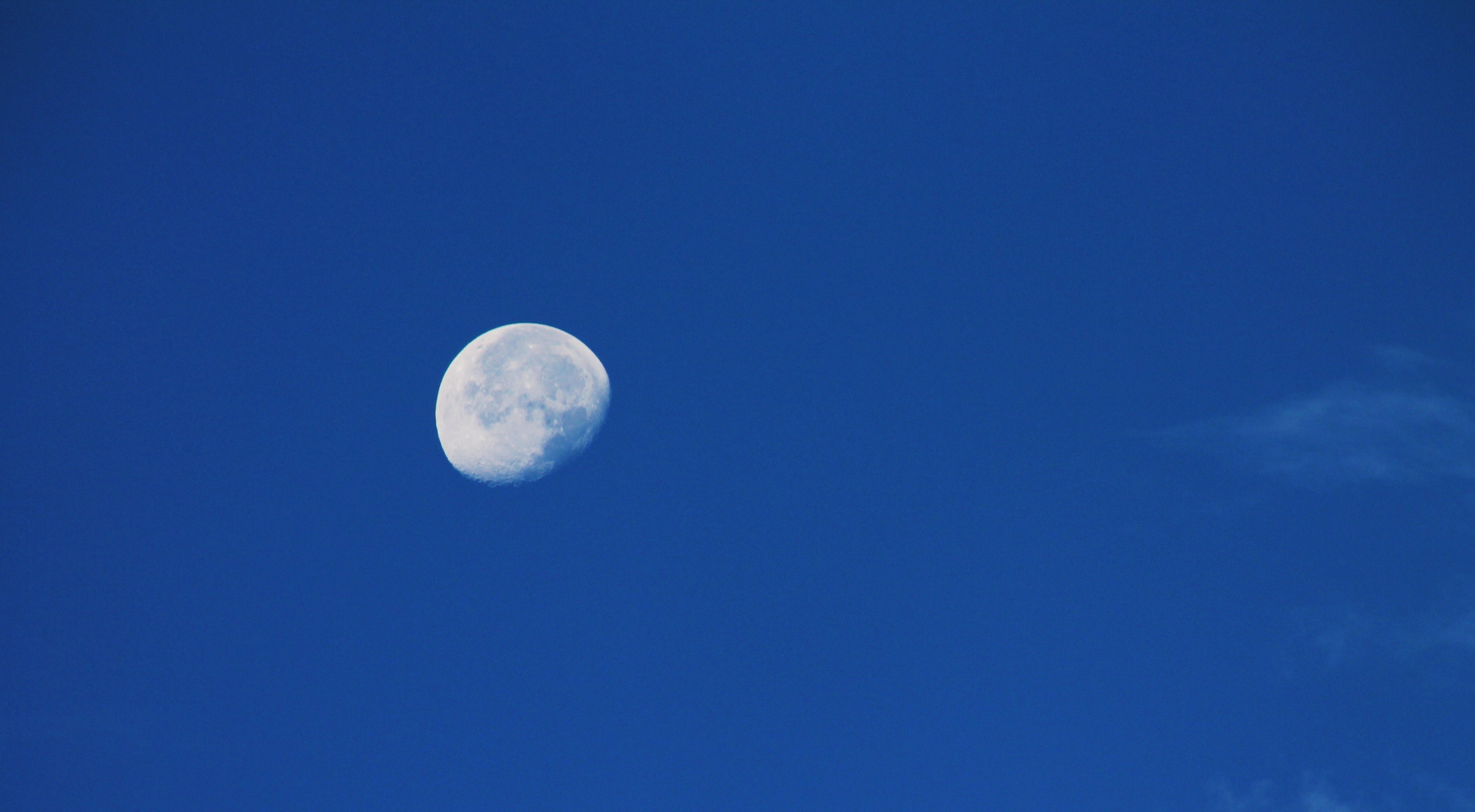 Blue Sky during Quarter Moon, Luna, Lunar, Moon, Nature, HQ Photo