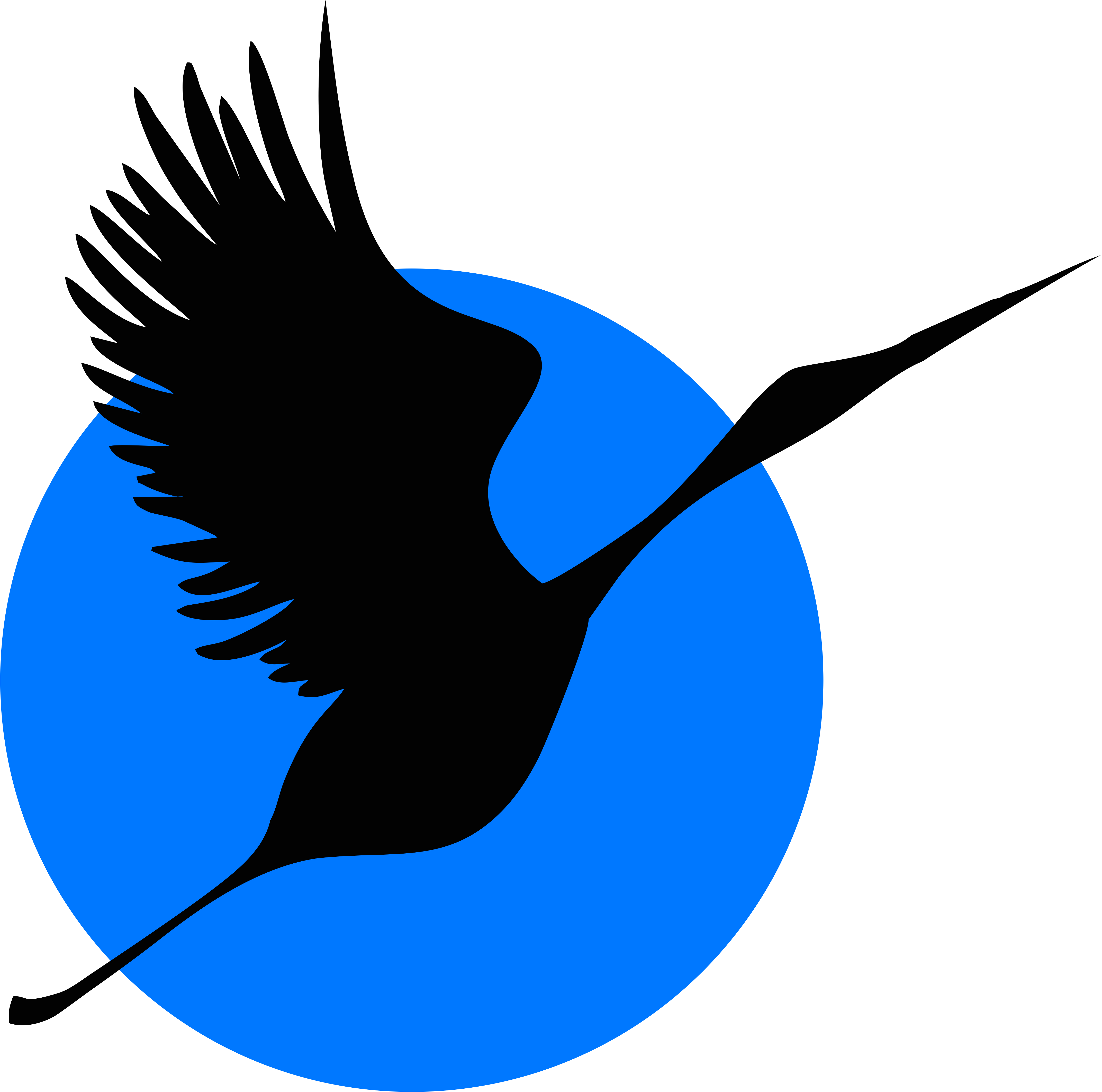 Bird Beak Cobalt blue - stork 4286*4246 transprent Png Free Download ...
