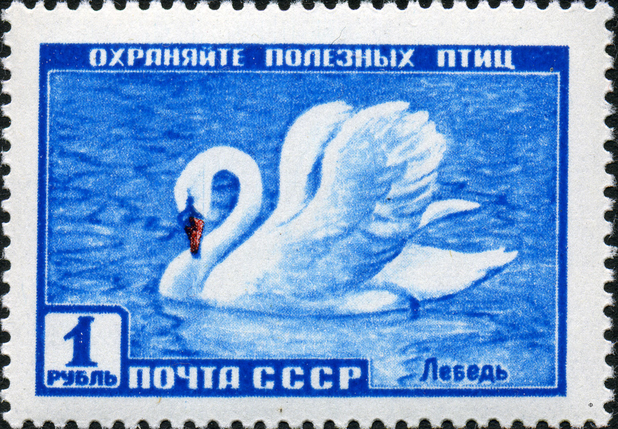 File:The Soviet Union 1959 CPA 2330 stamp (Mute Swan).jpg ...