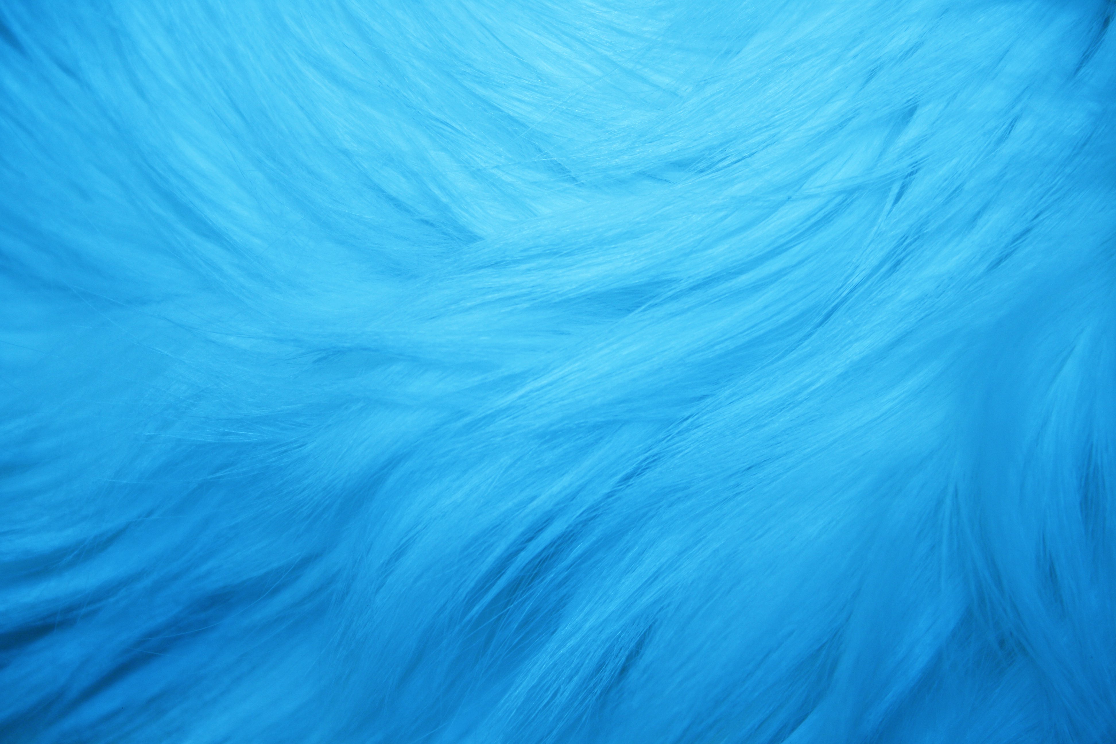 Light Blue Fur Texture Picture | Free Photograph | Photos Public Domain