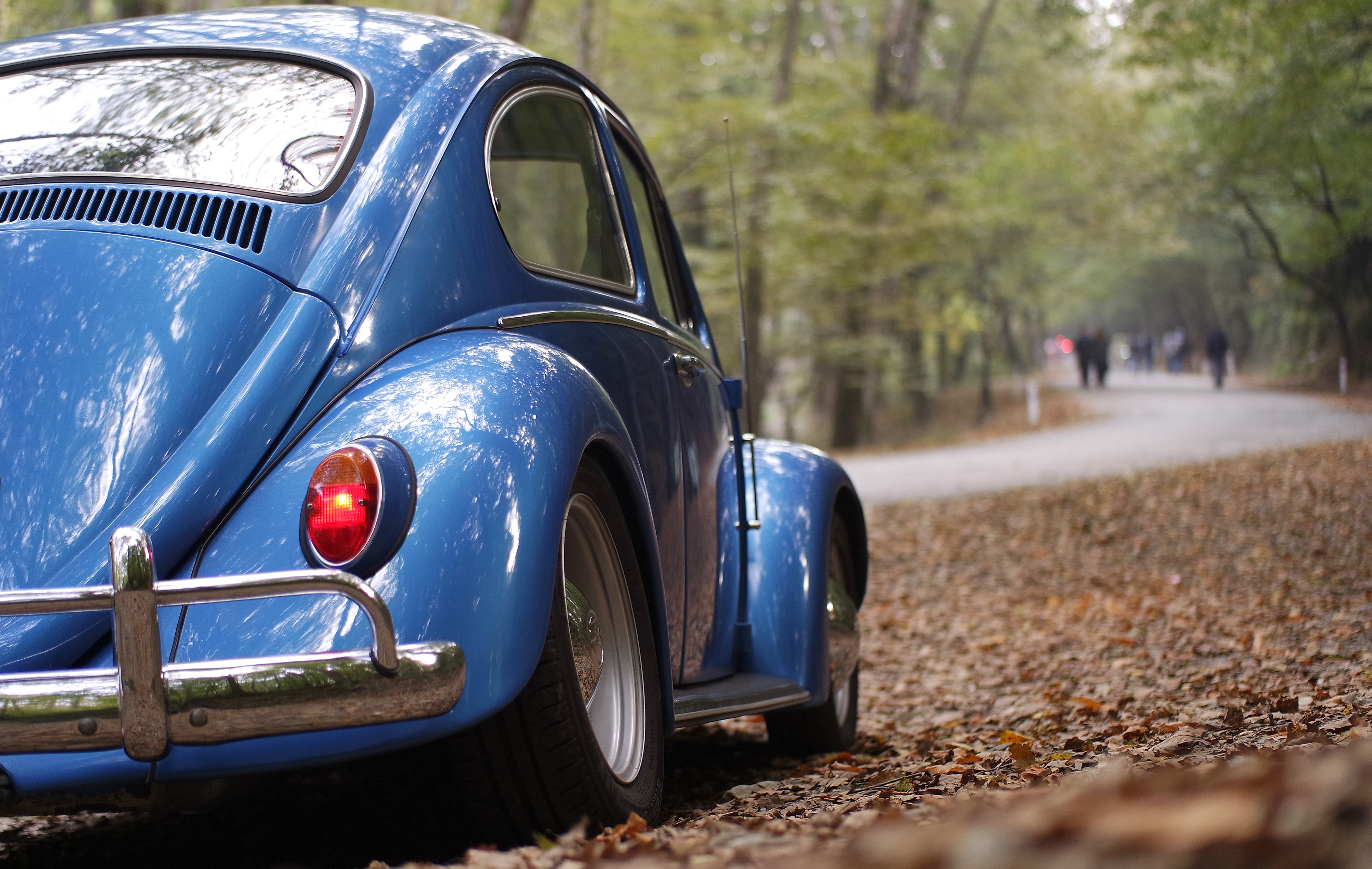 Blue volkswagen beetle vintage car surrounded by dry leaves during daytime photo