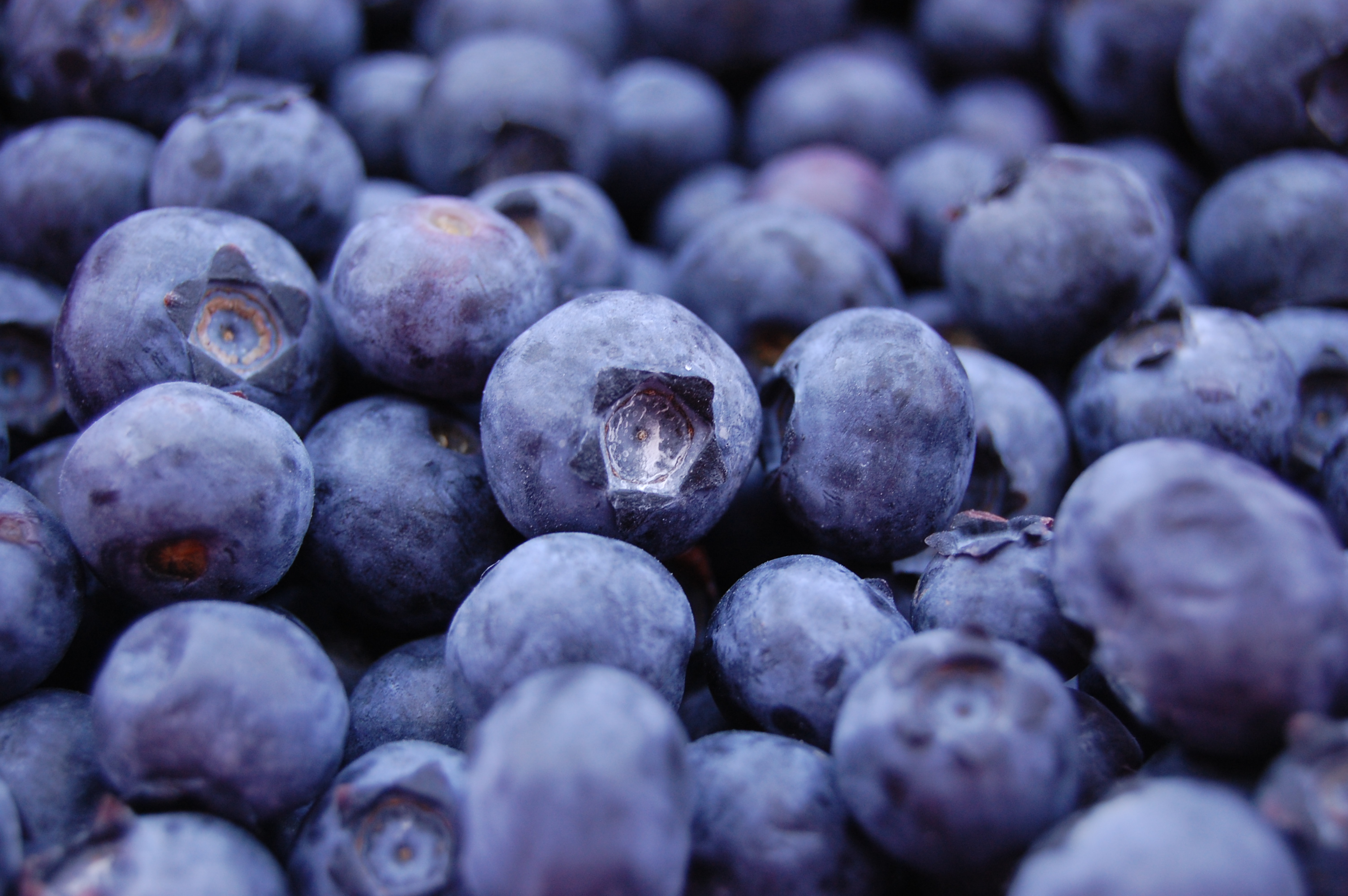 Blueberries - BBC Technologies - Sorting, Filling and Packing for ...