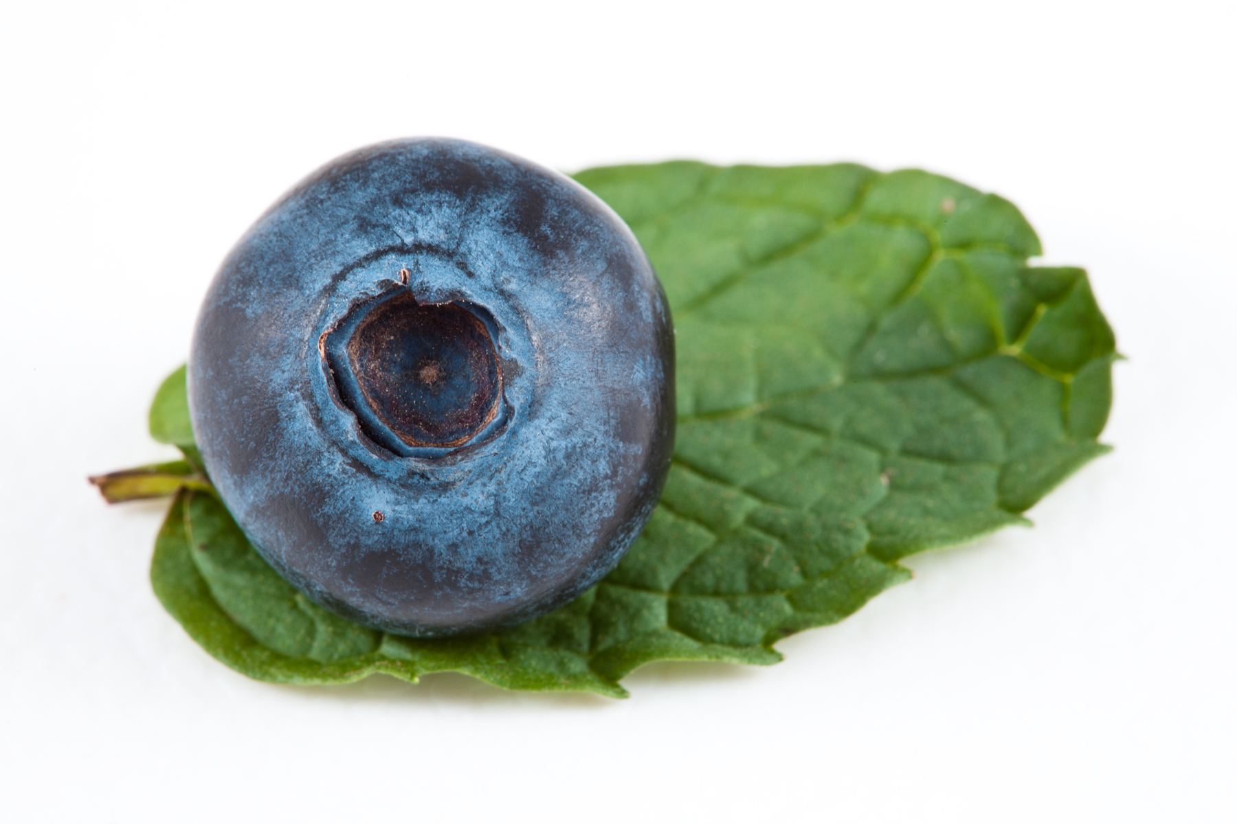Blueberry and mint photo