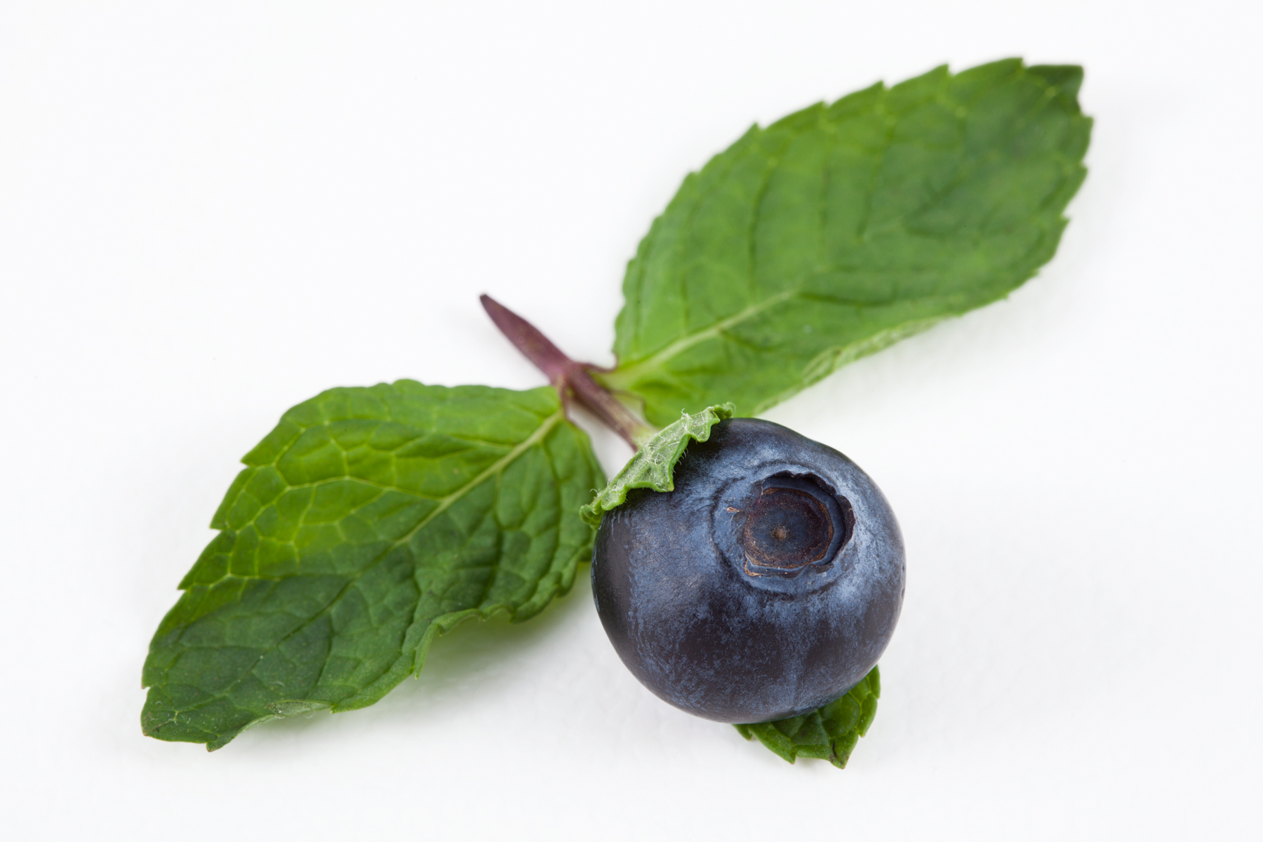 Blueberry and mint photo