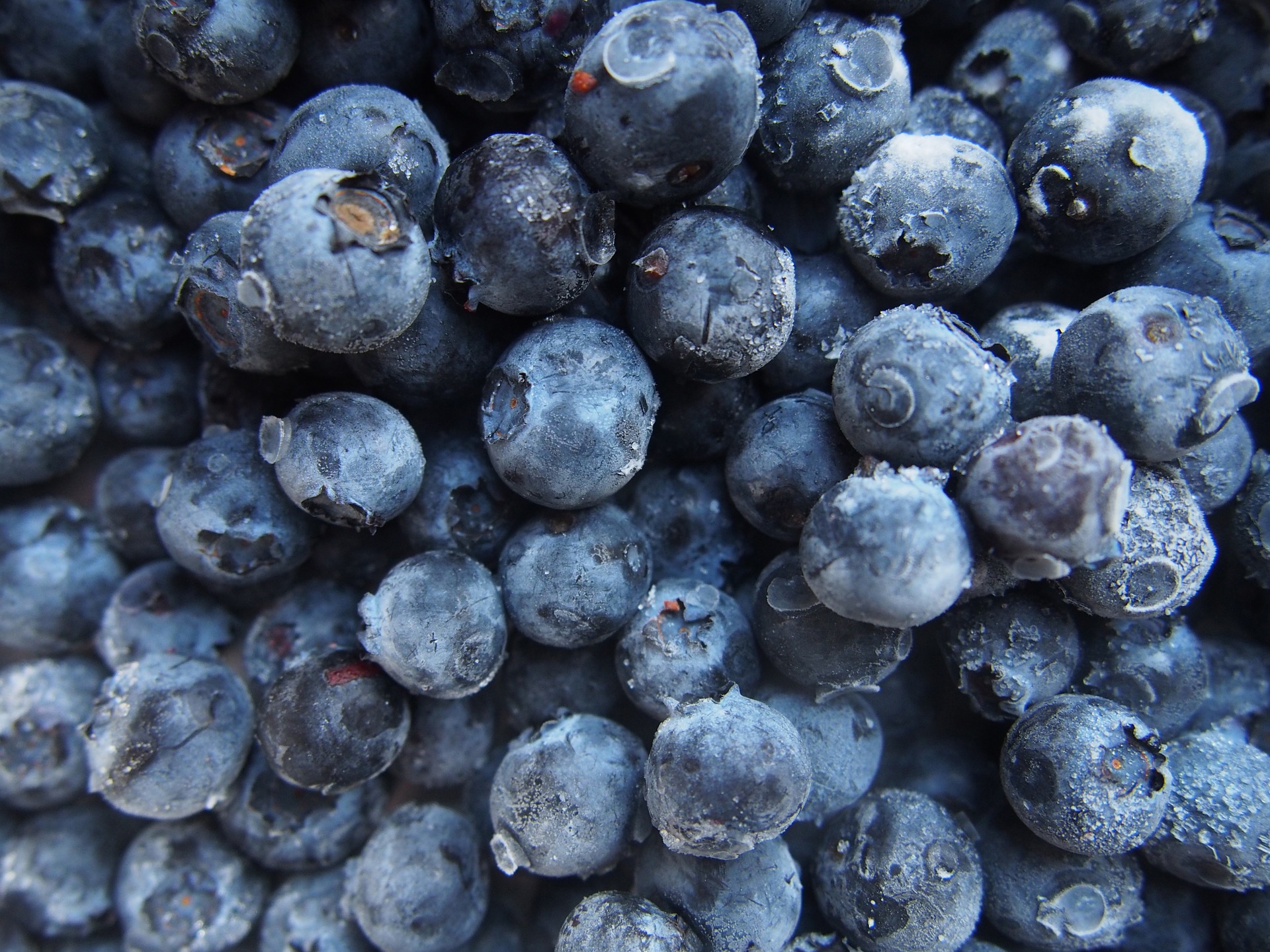 How to Freeze Blueberries: Guide to Freezing Blueberries | The Old ...