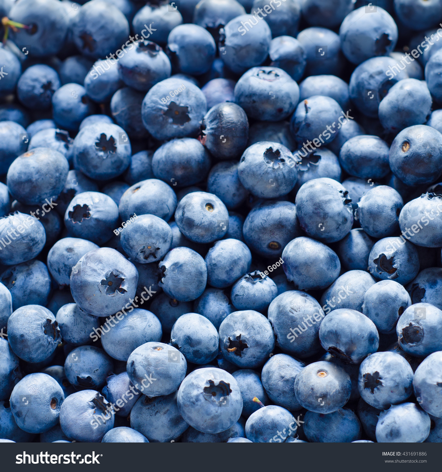 Blueberry Background Stock Photo 431691886 - Shutterstock