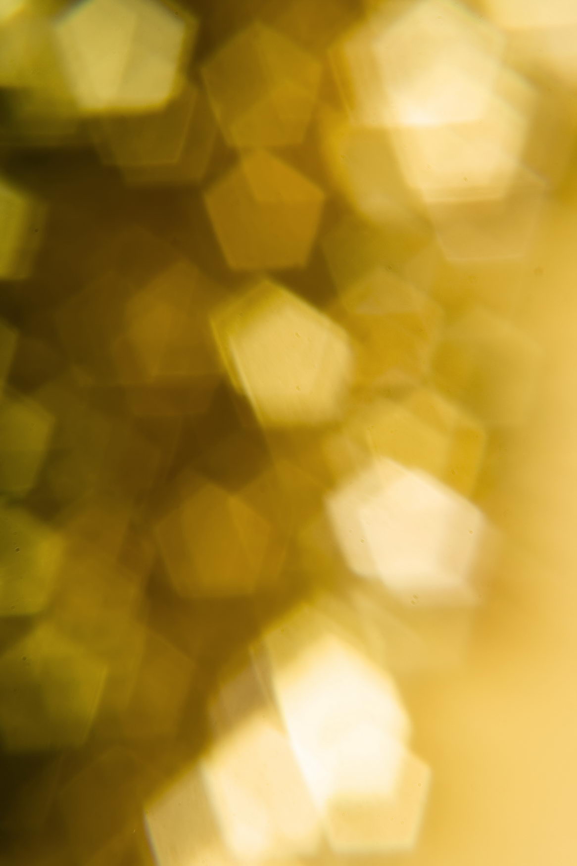 blur background, Abstract, Holiday, Year, Xmas, HQ Photo