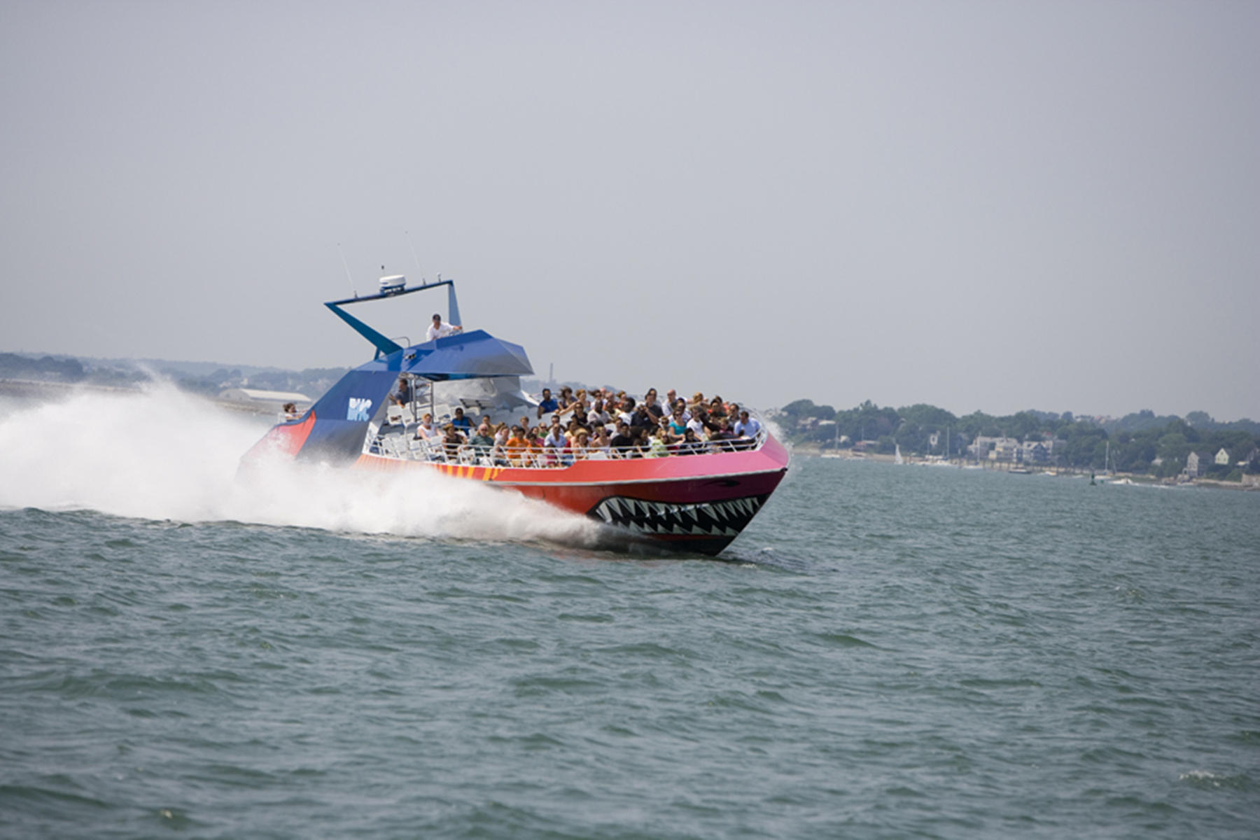 Codzilla Thrill-Boat Ride - Tours4Fun