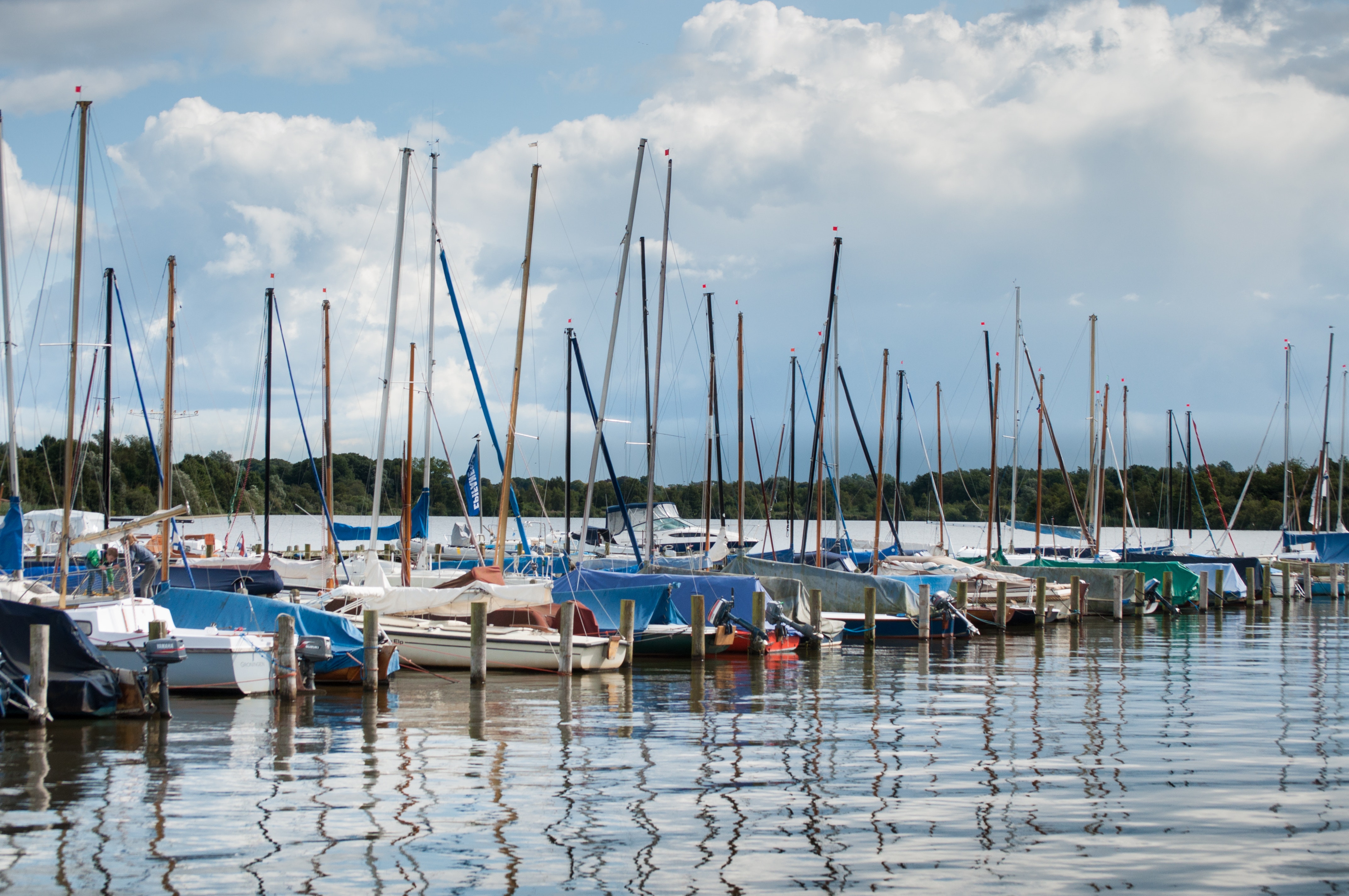 Free stock photo of boats, harbor, harbour