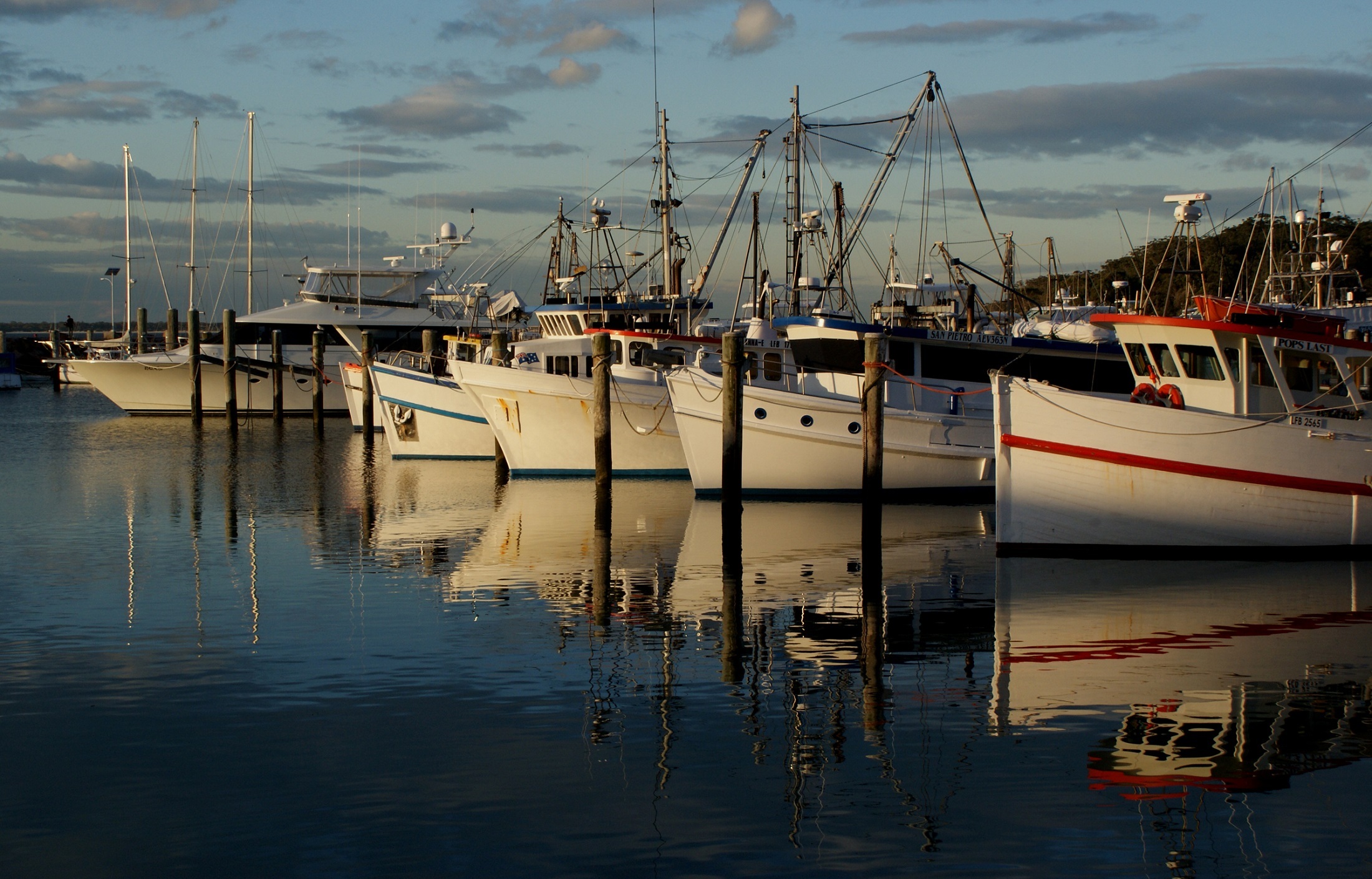 Boats on the port photo