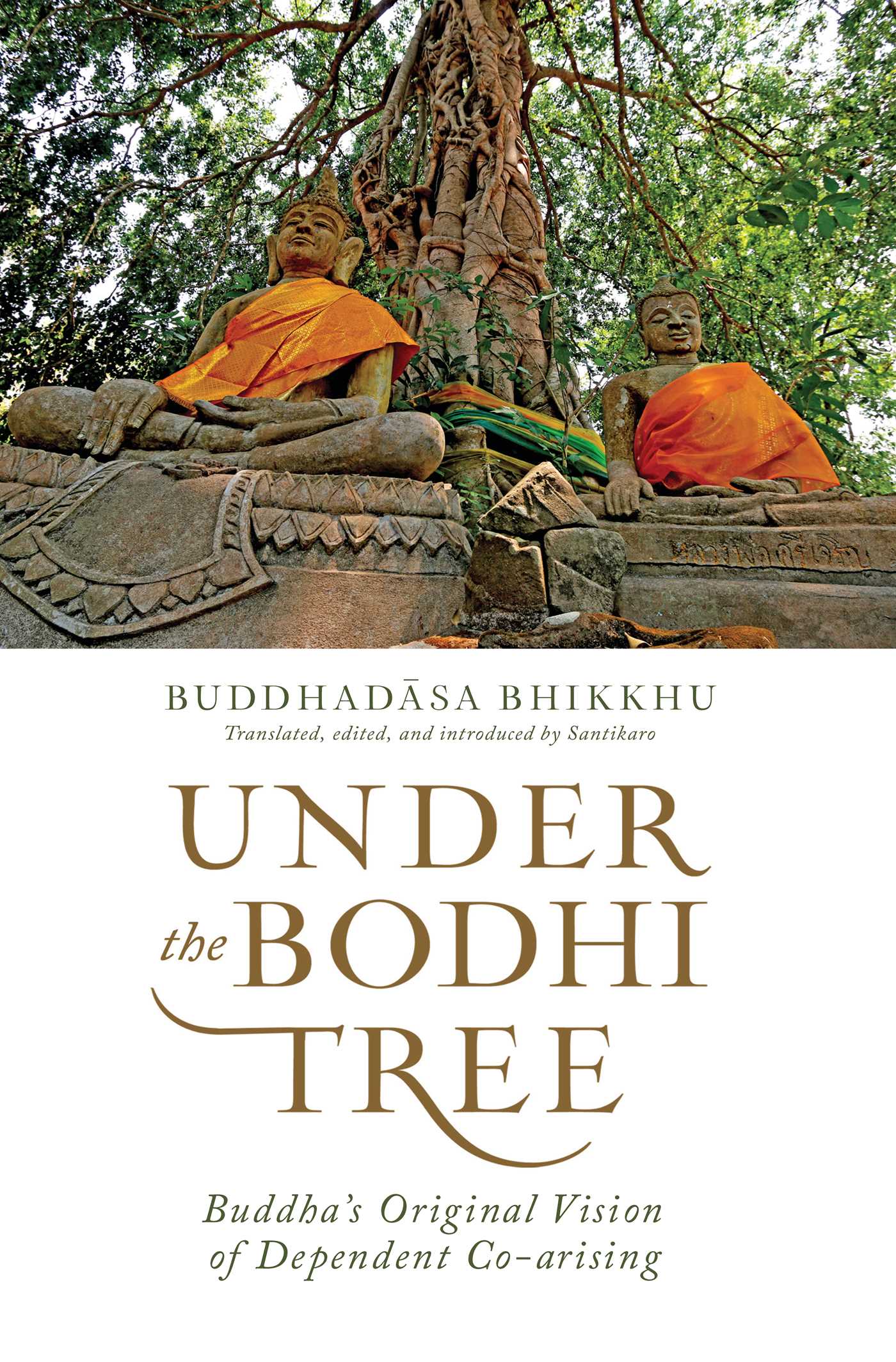Under the Bodhi Tree | Book by Buddhadasa Bhikkhu, Santikaro ...
