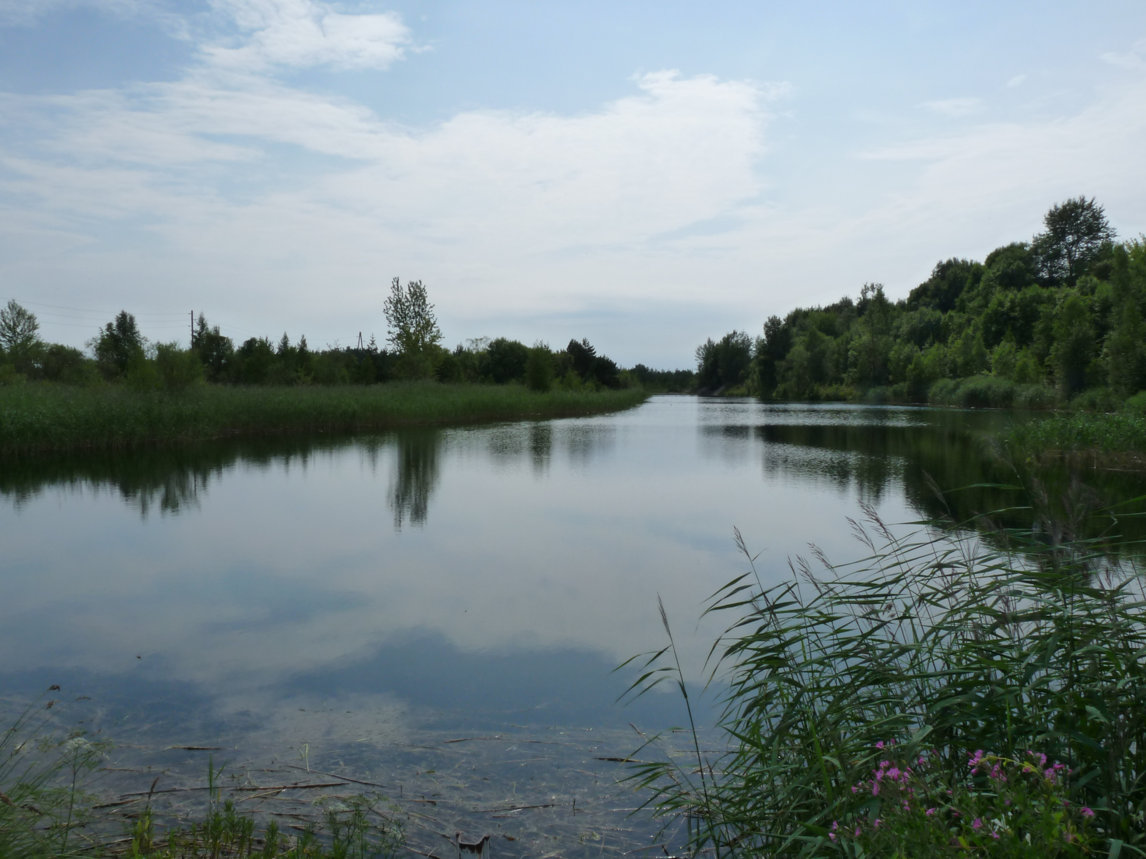 File:EU-EE-Tallinn-Nõmme-Männiku-Body of water in Männiku.JPG ...