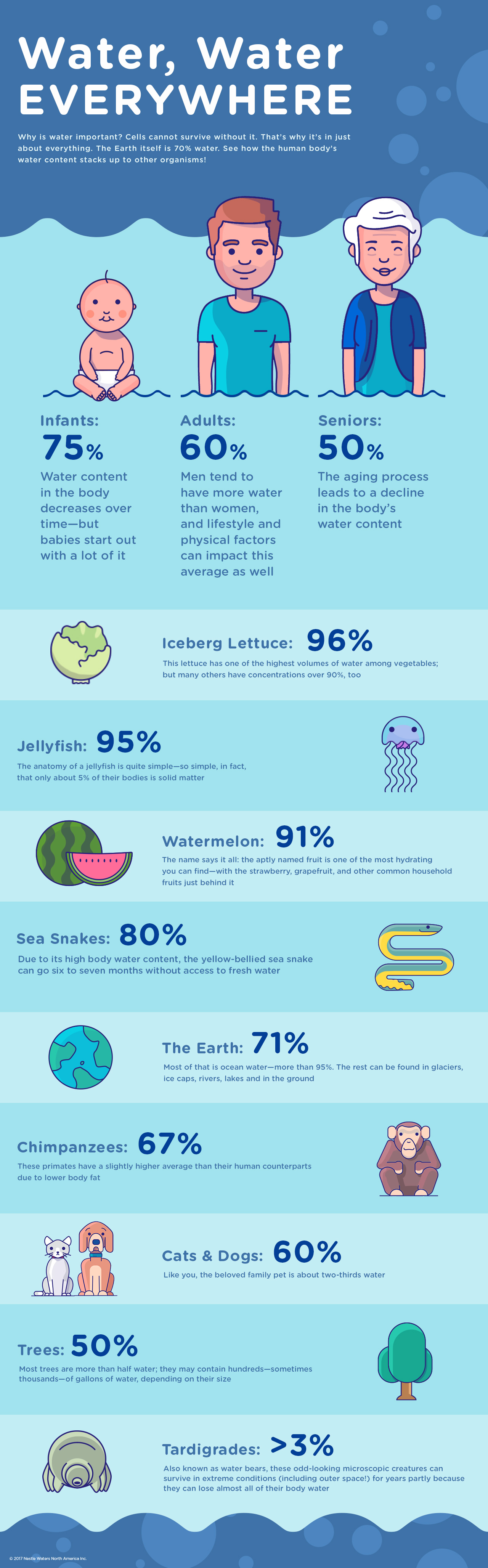 How Much of Your Body is Water | Nestlé Waters North America
