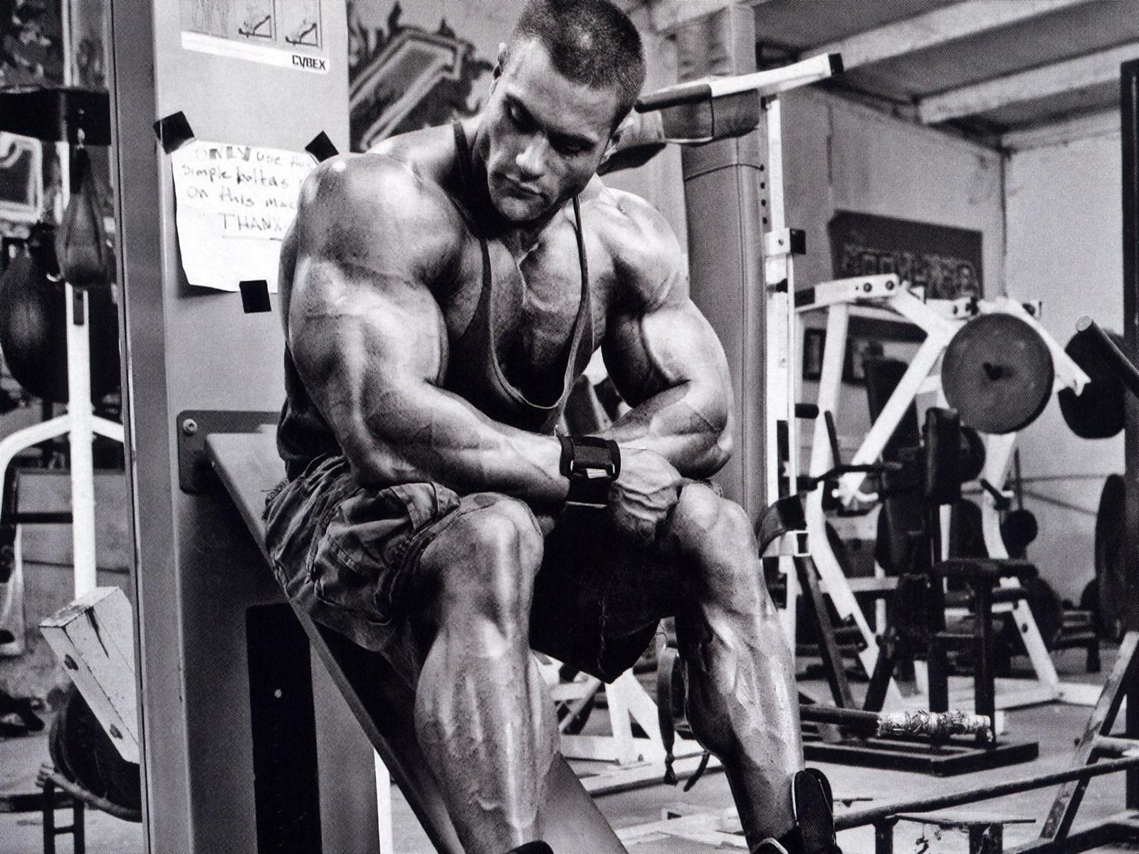 bodybuilding motivation Archives - The Gym Lifestyle