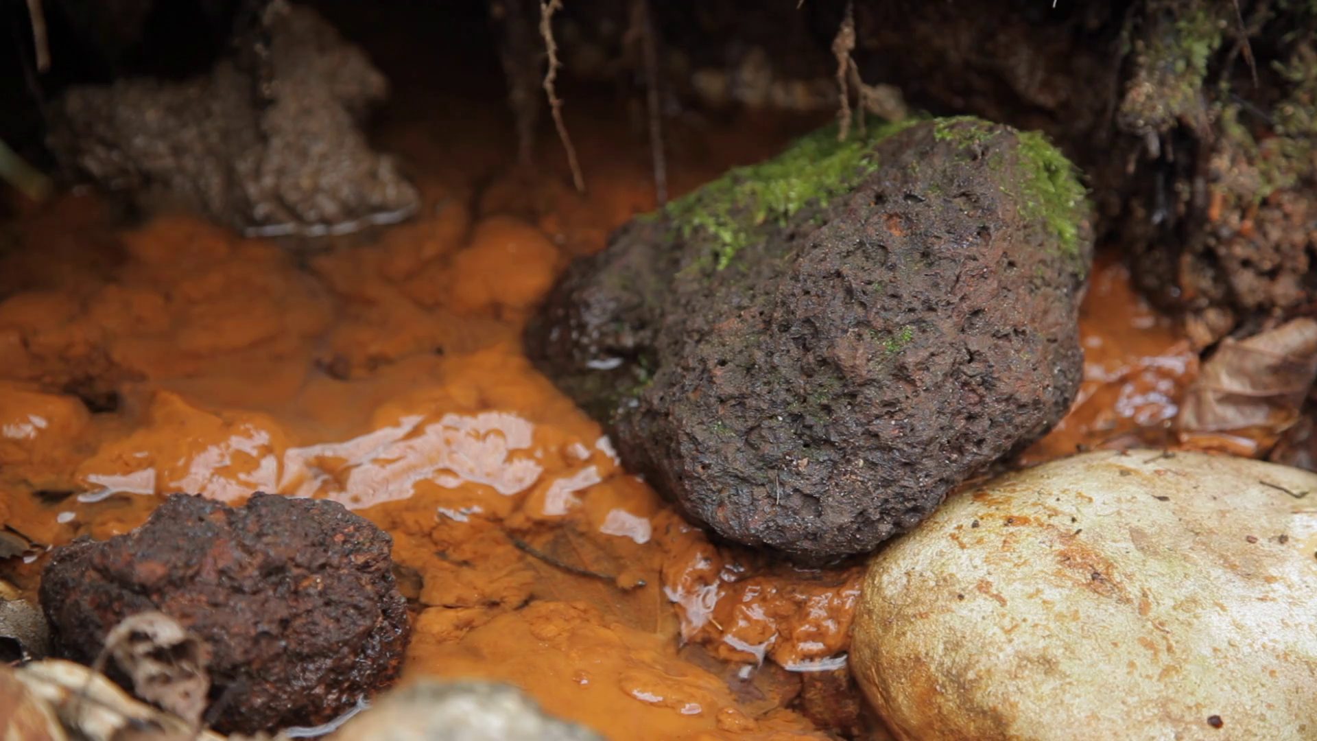 Bog Iron Ore In Spring Flood. Iron smelting from bog iron was ...