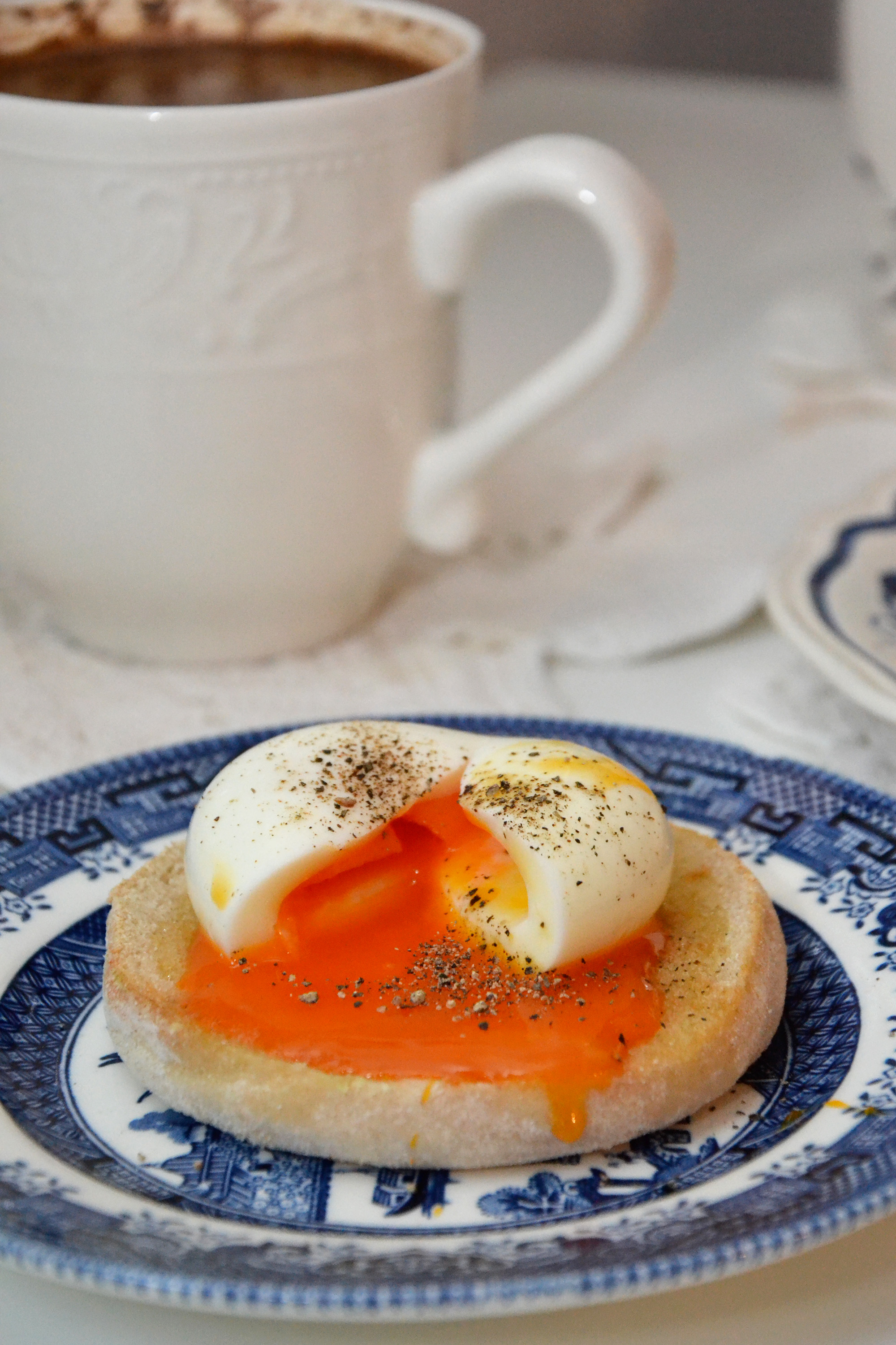 Boiled egg photo