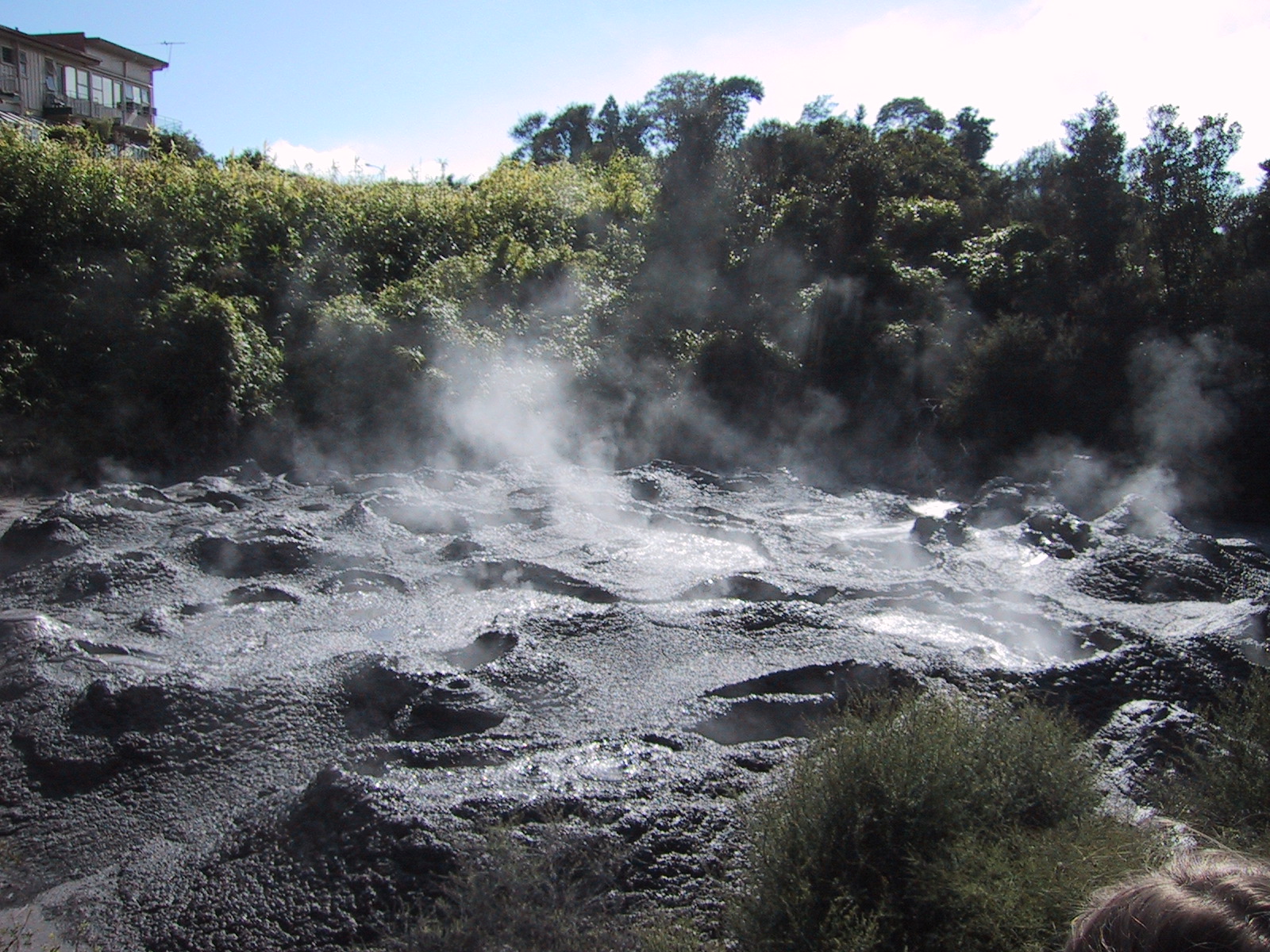 Rotorua - stinky stinky mud! :) | Been there, done that | Pinterest