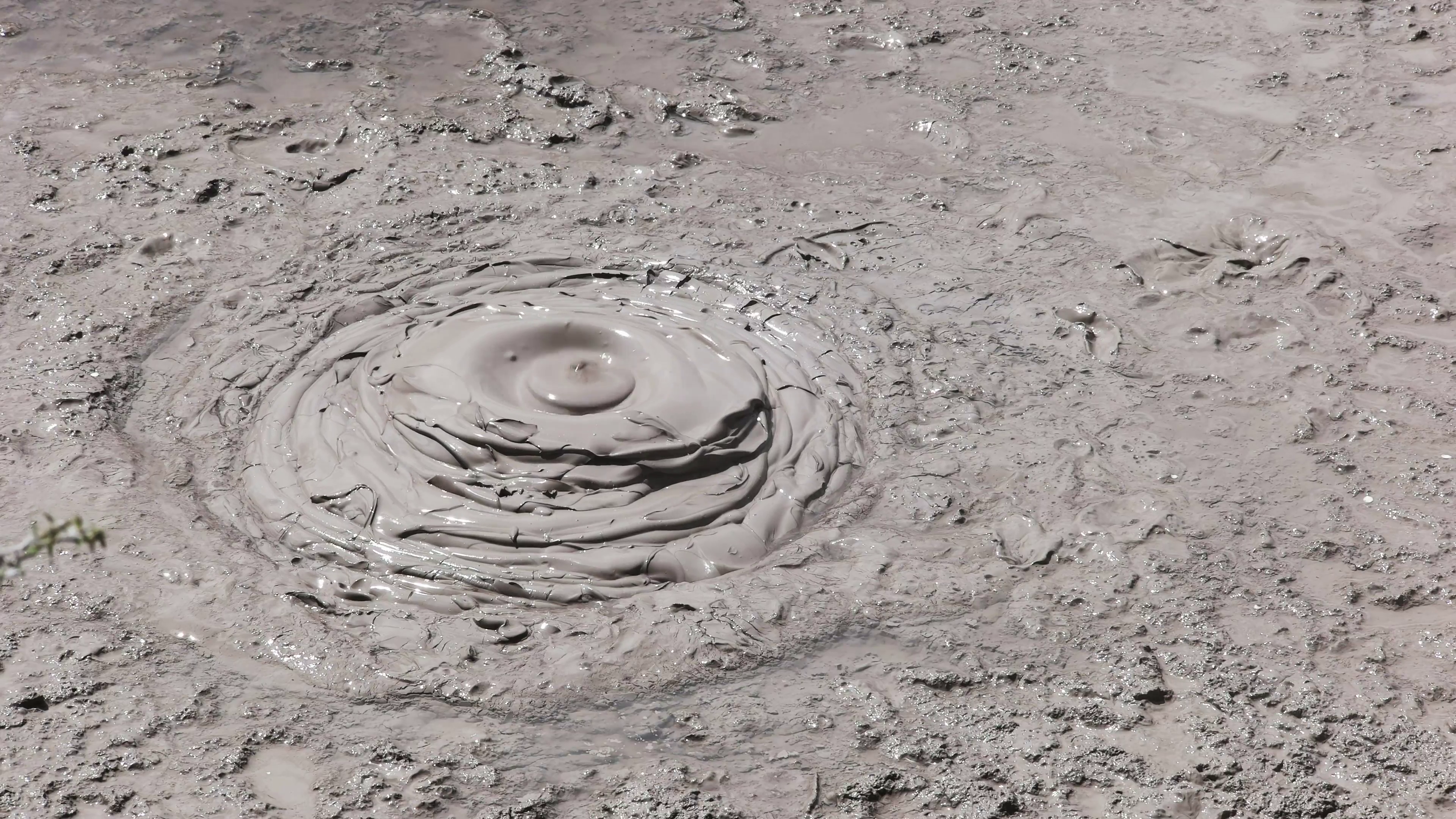 close up shot of thick boiling mud pool near rotorua in new zealand ...