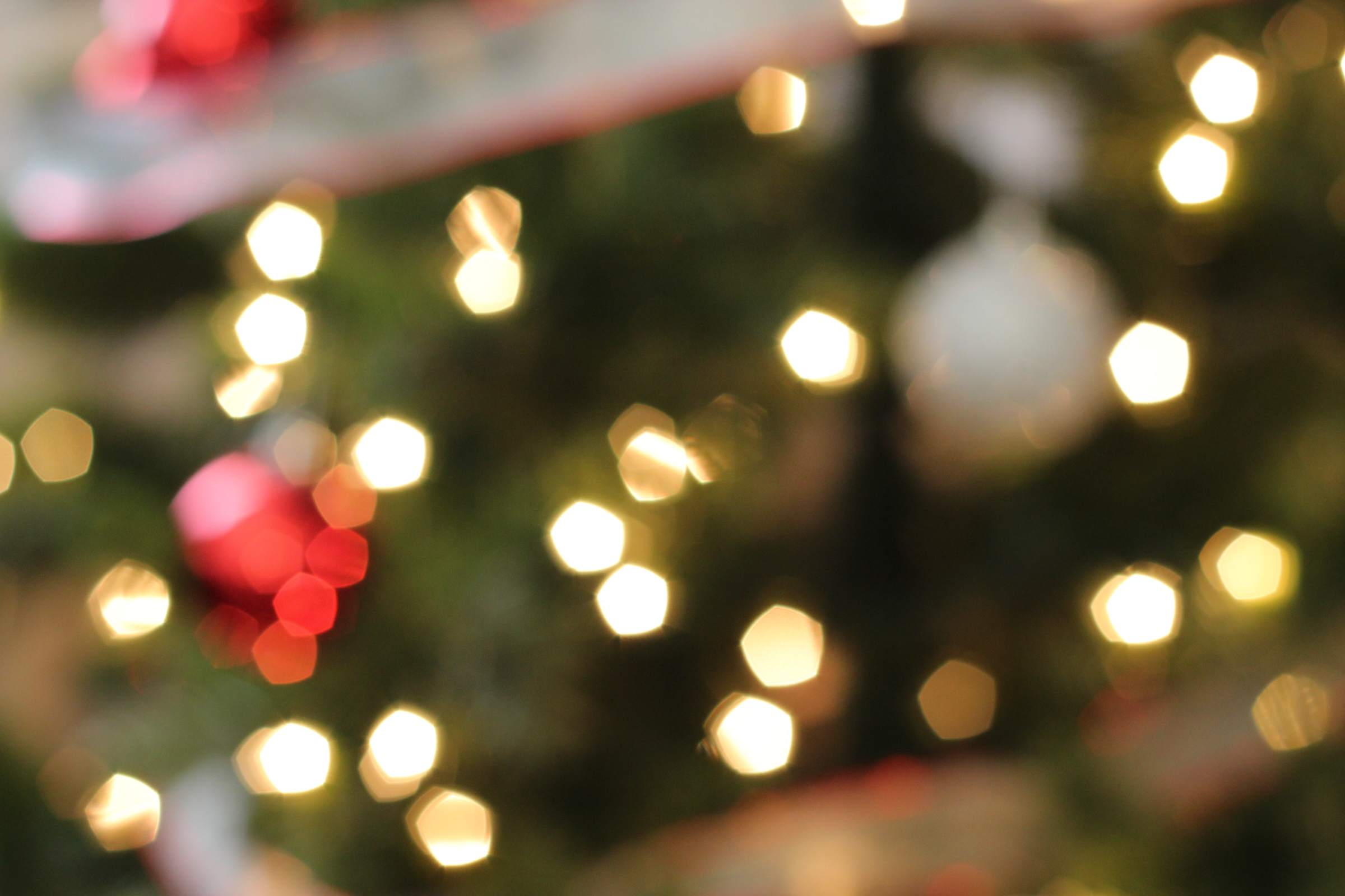 Free Stock Photo of Bokeh of Christmas Tree Lights & Ornaments