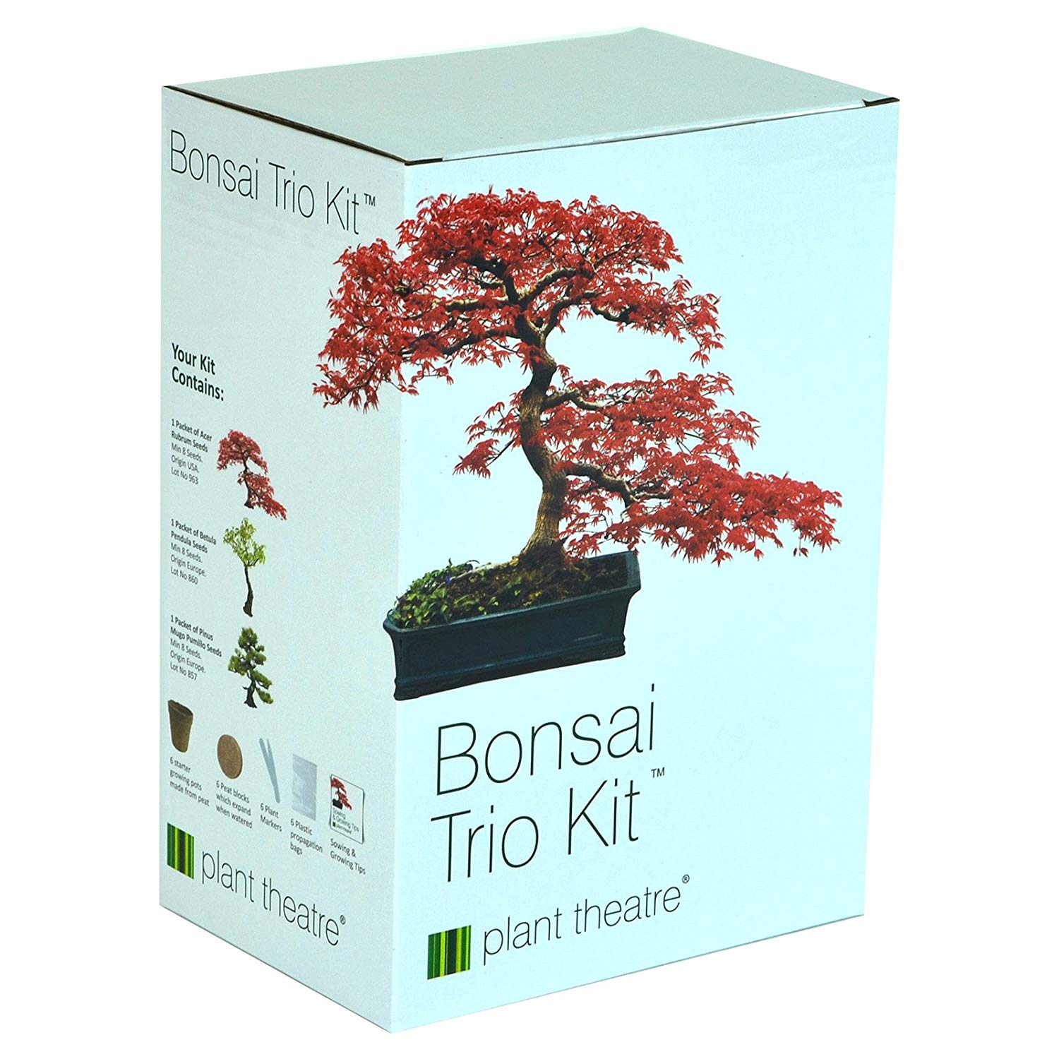 Amazon.com: Plant Theatre Bonsai Trio Kit, 3 Distinctive Bonsai ...