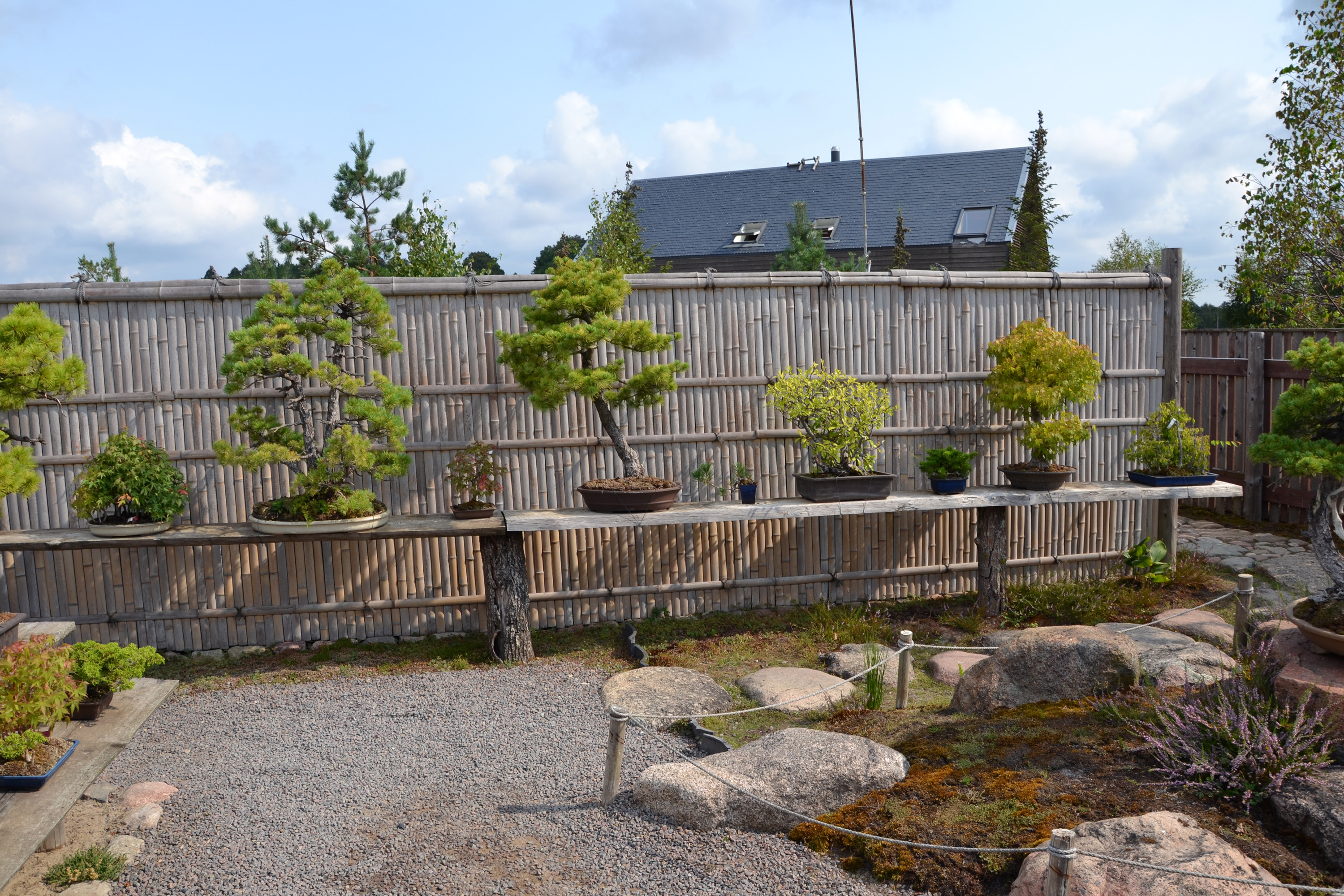 Bonsai garden photo