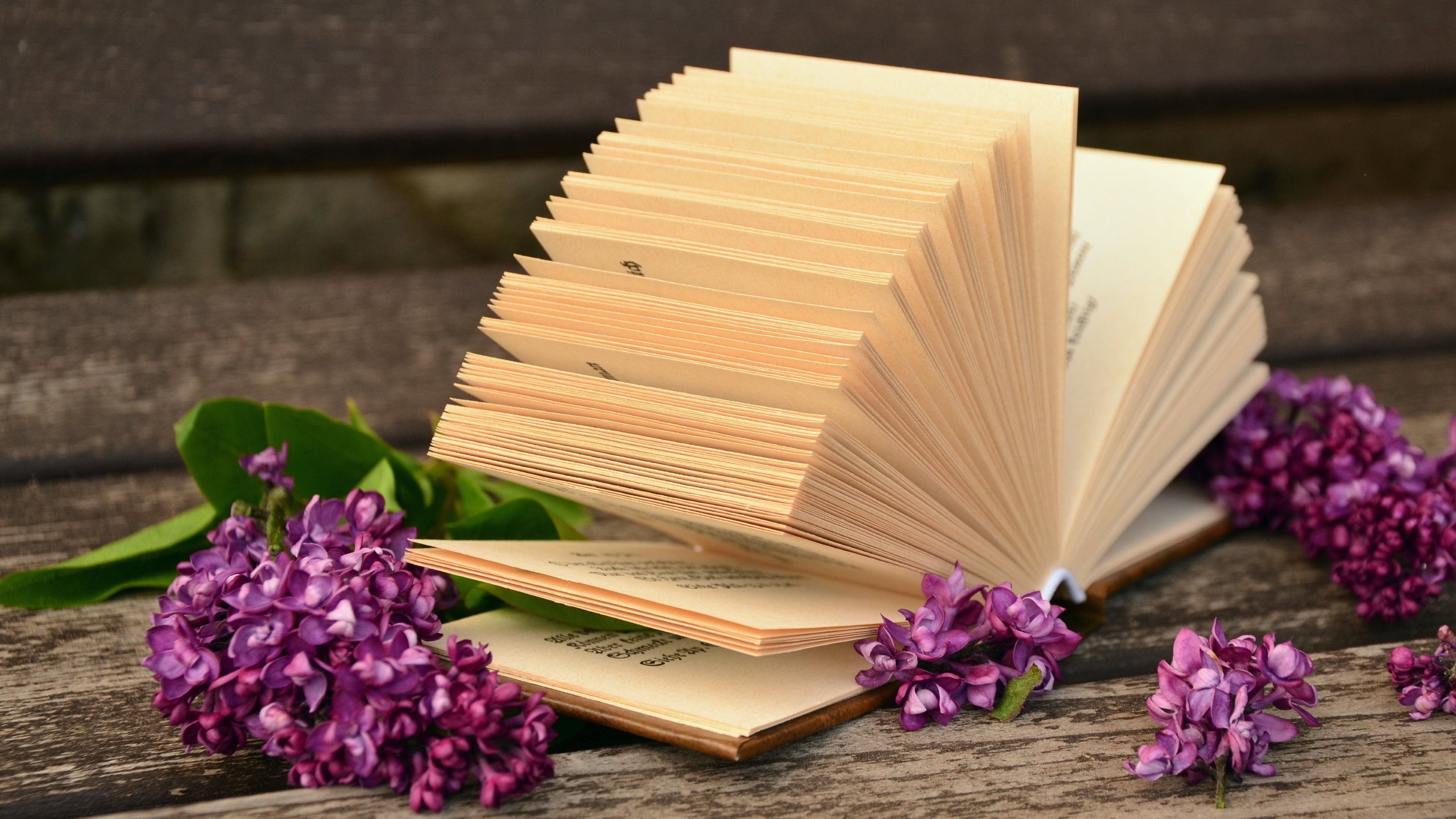 Lilac flowers and a good book 4k Ultra HD Wallpaper and Background ...