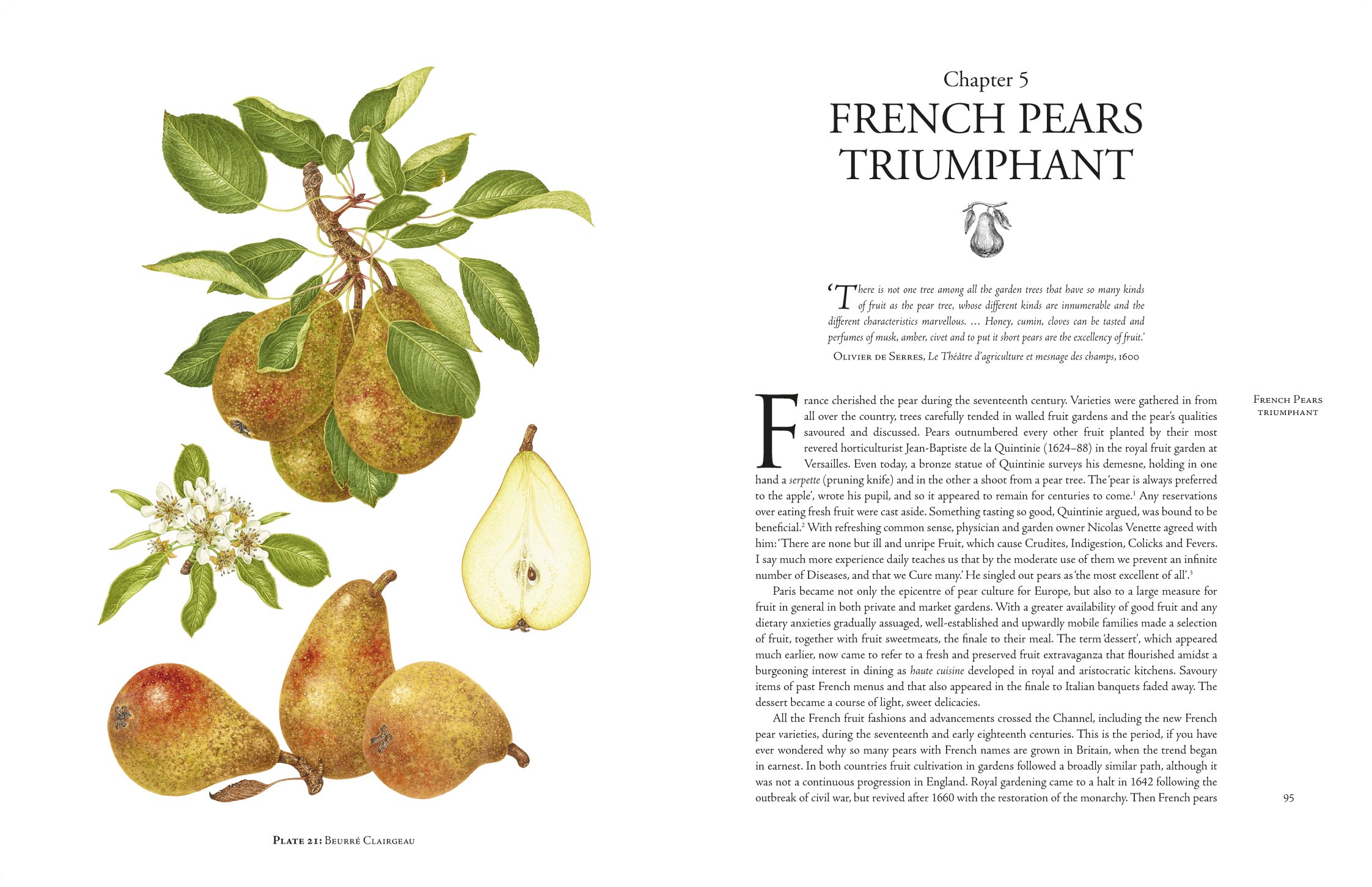 The Book of Pears: The Definitive History and Guide to over 500 ...
