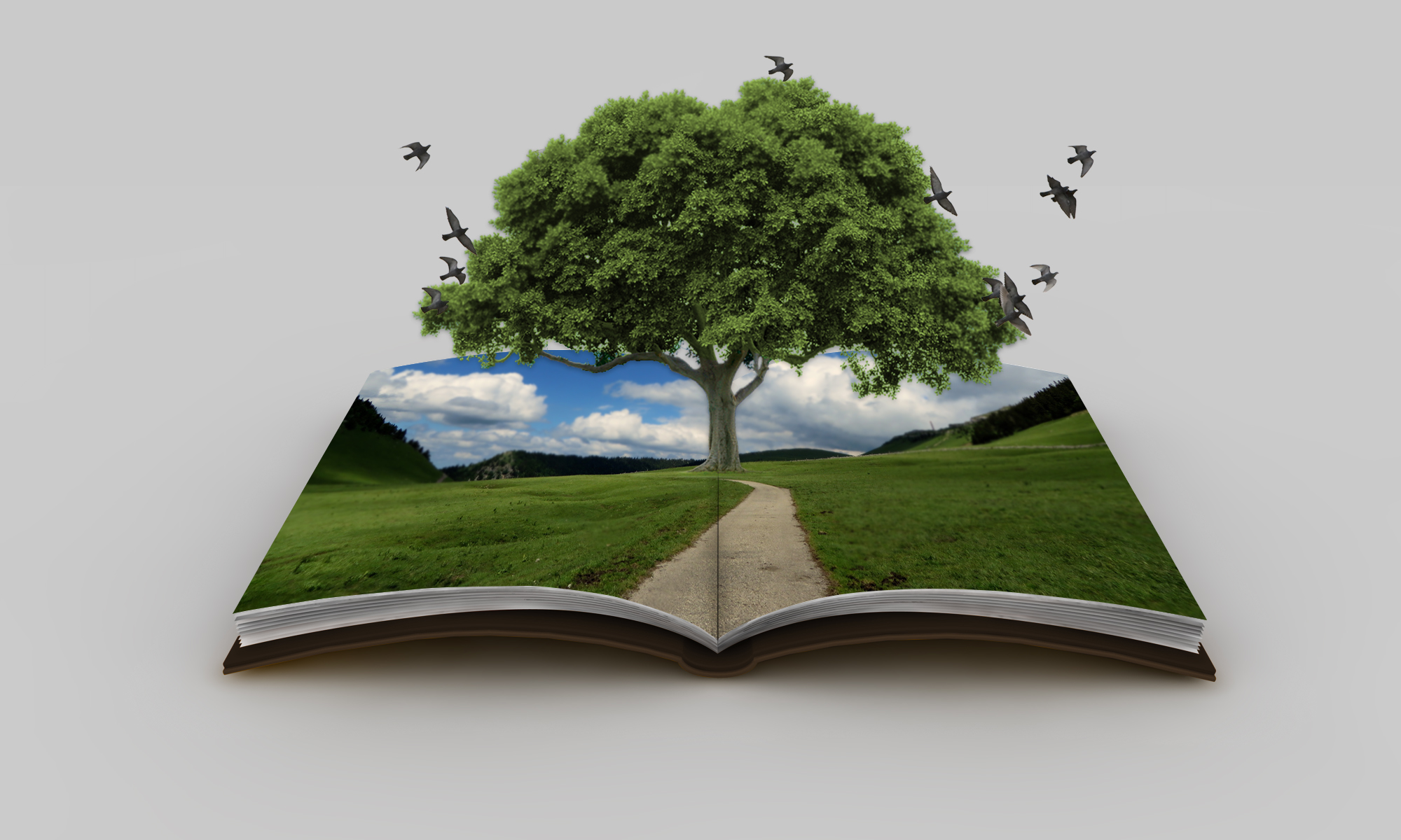 Free photo: Book of Nature - Book, Green - Free -