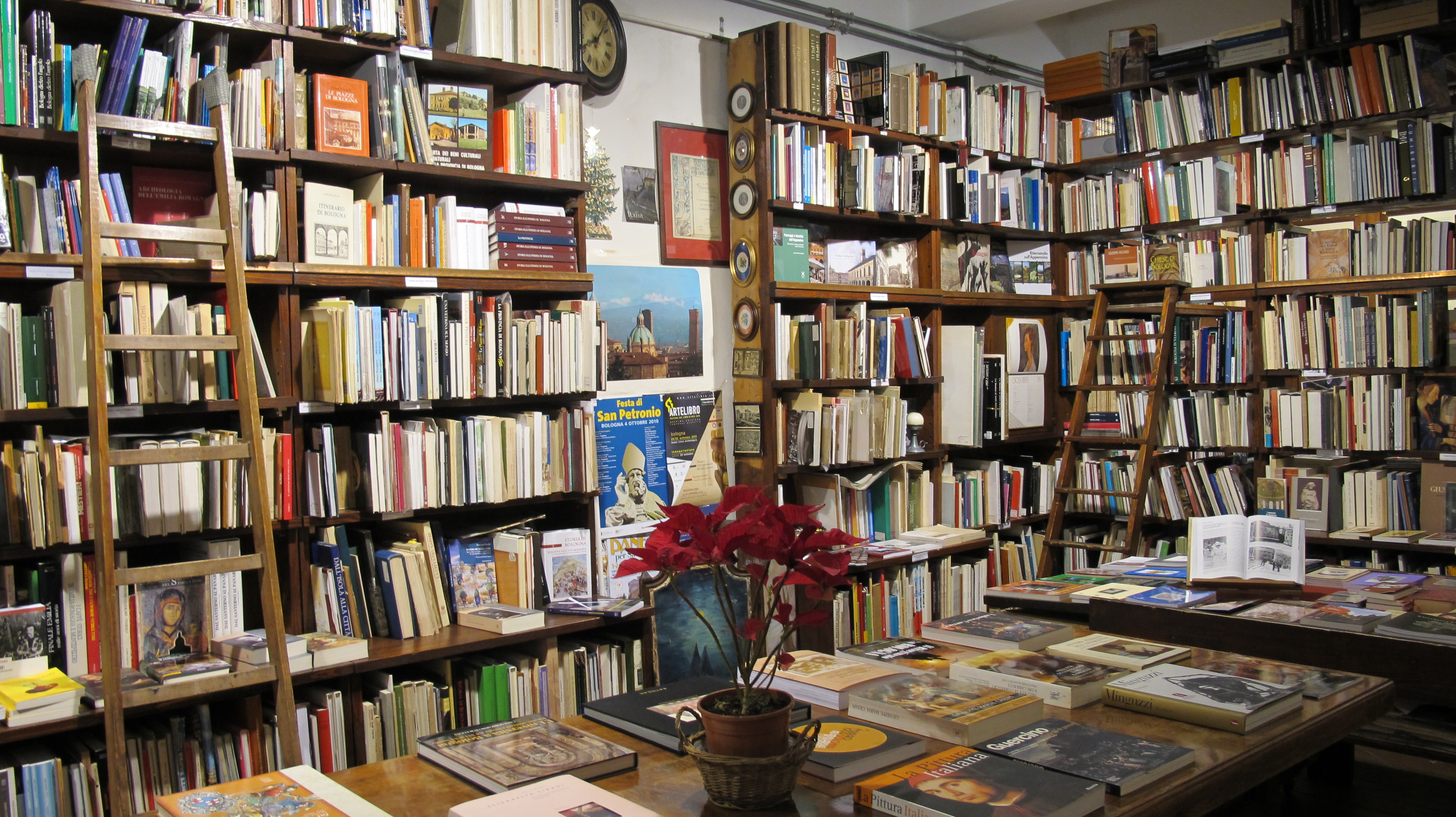A beautiful bookshop in Bologna | Bagni di Lucca and Beyond