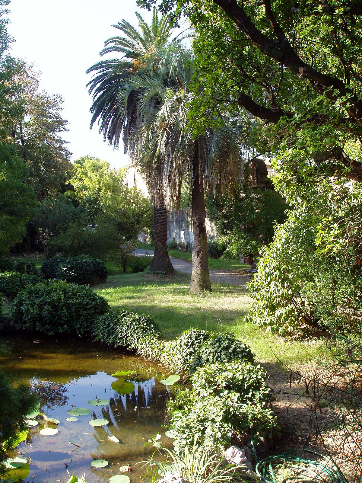 Botanical garden - Wikipedia