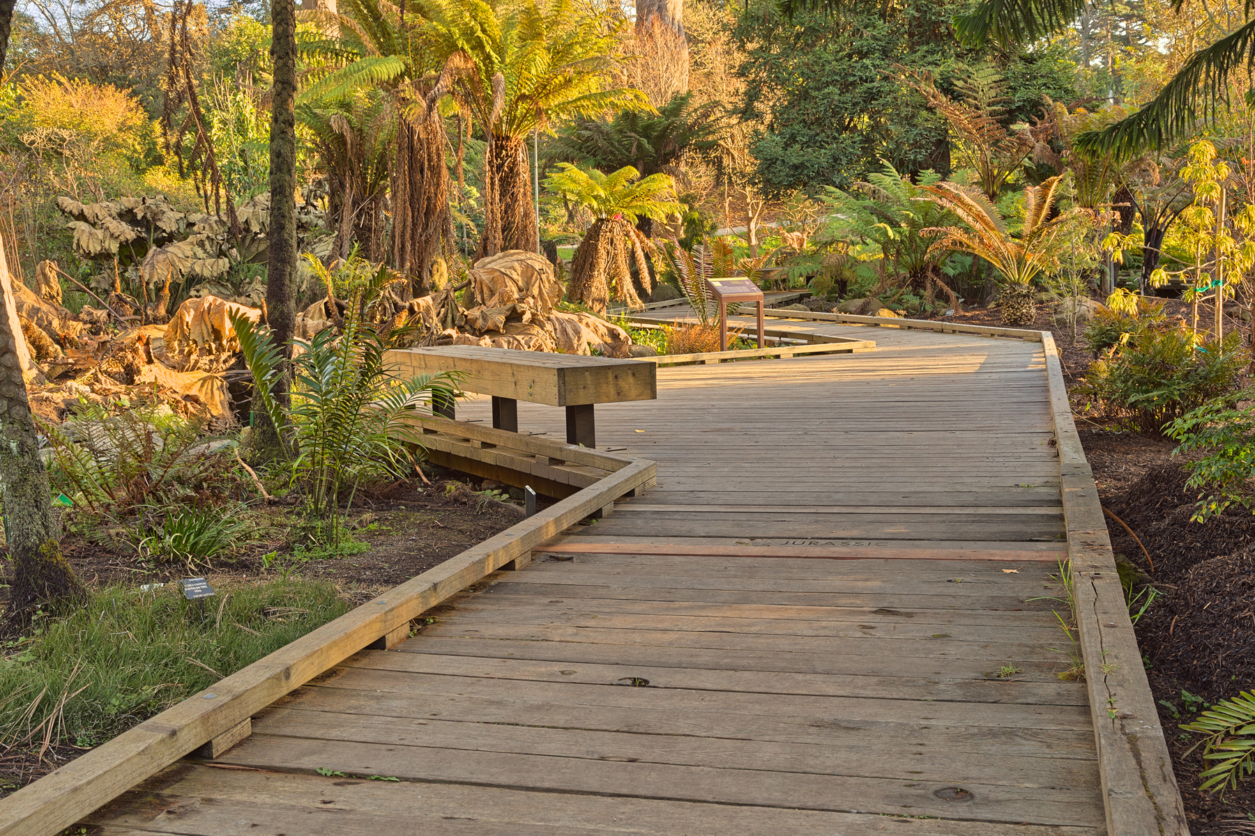 Botanical gardens boardwalk - hdr photo