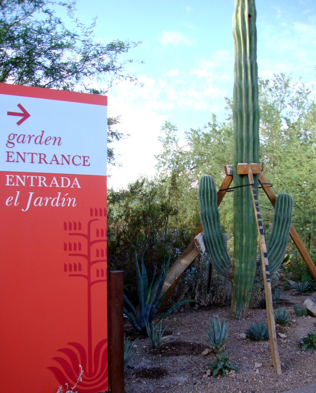 danger garden: The Desert Botanical Garden, Part One