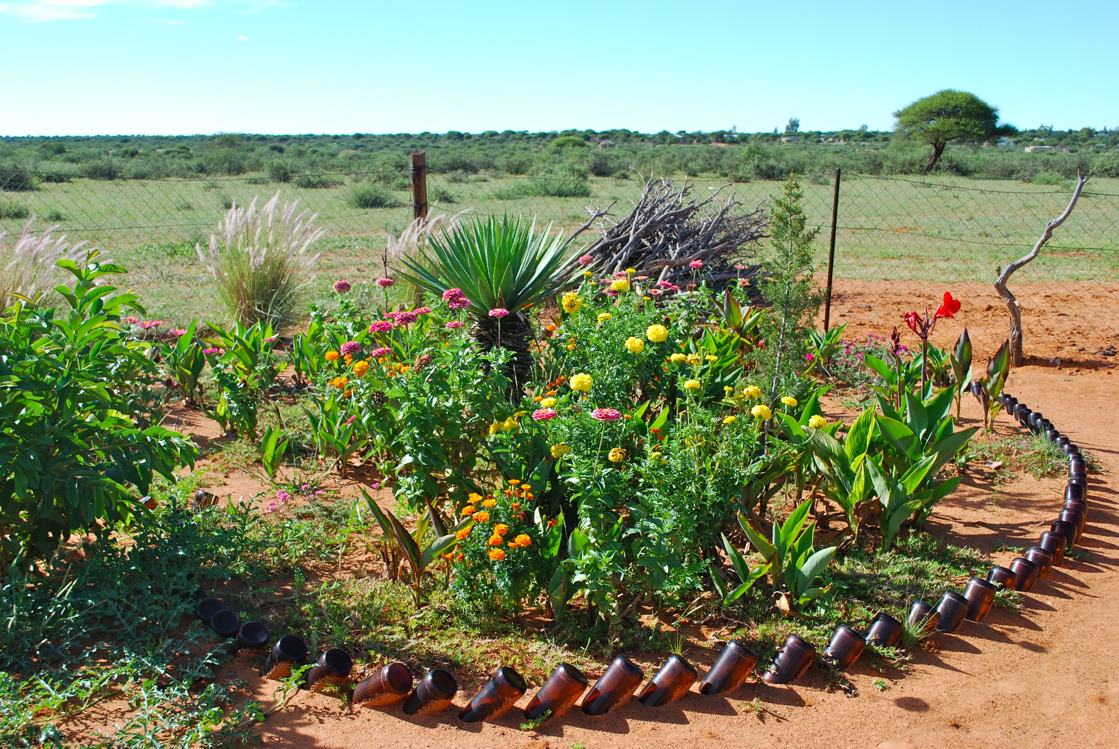 A Beautiful Garden in Mmathethe, Botswana | The Garden Lady