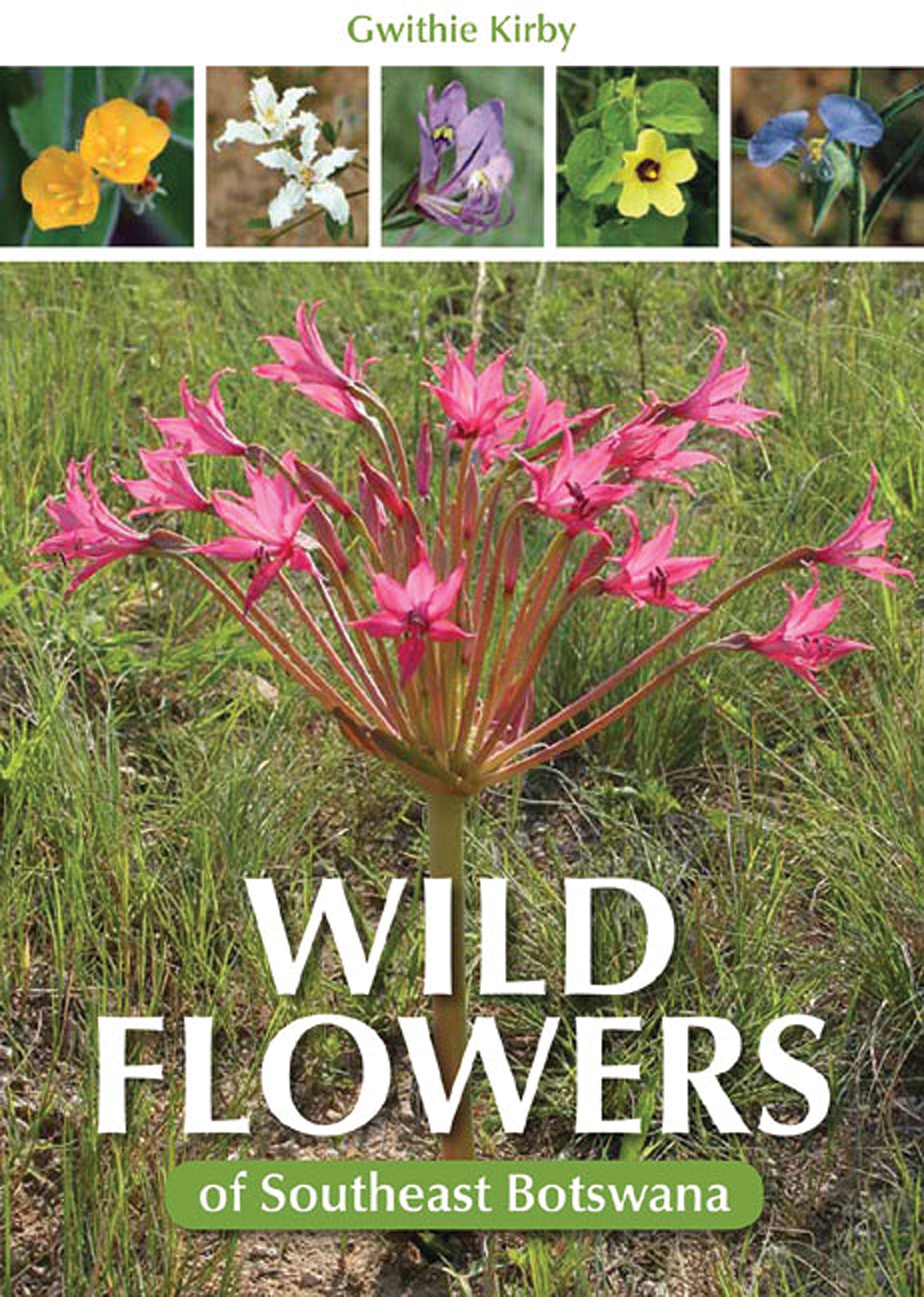 Wild Flowers of Southeast Botswana | Penguin Random House South Africa