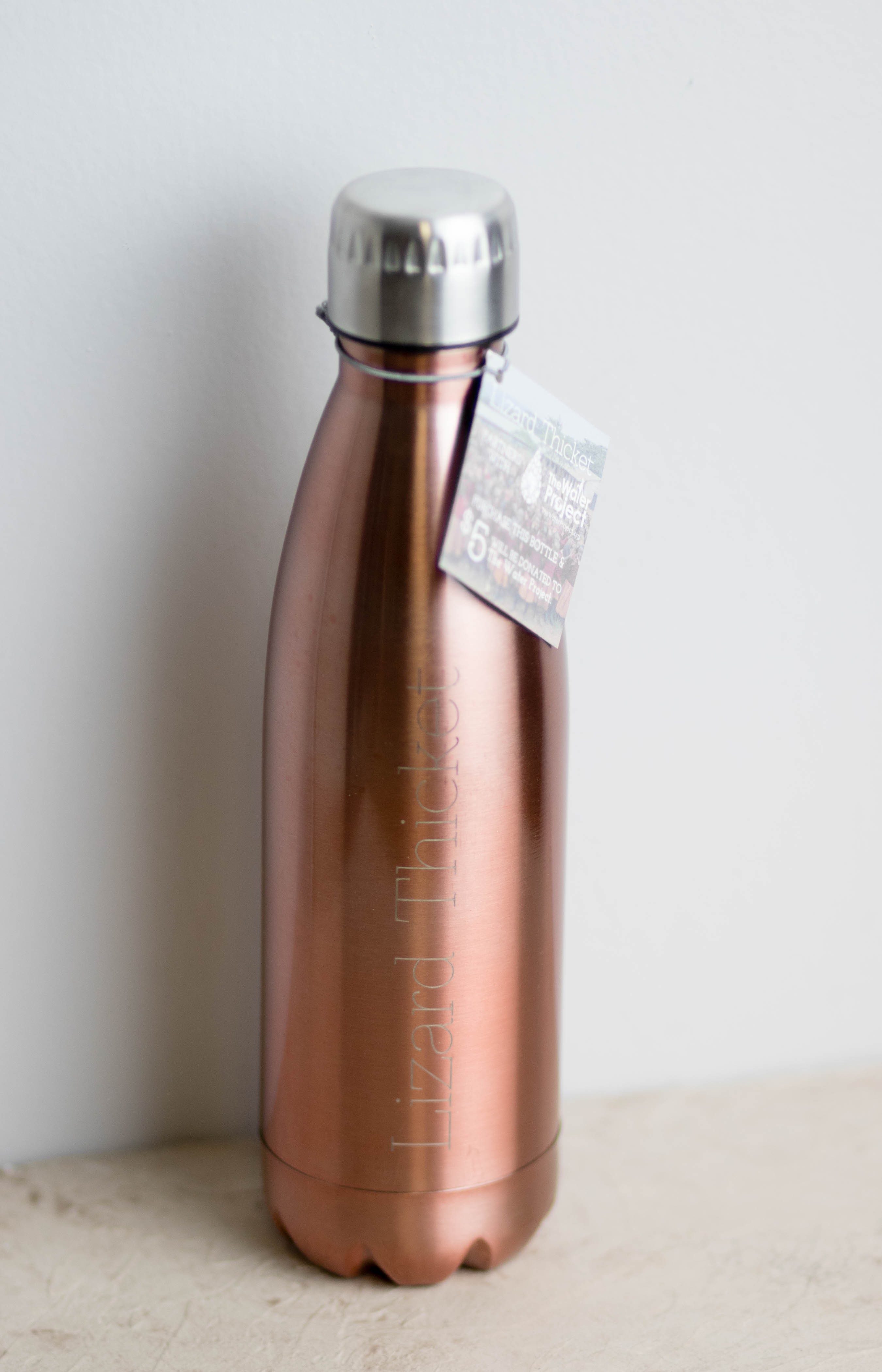 Stainless Steel Water Bottle | Lizard Thicket