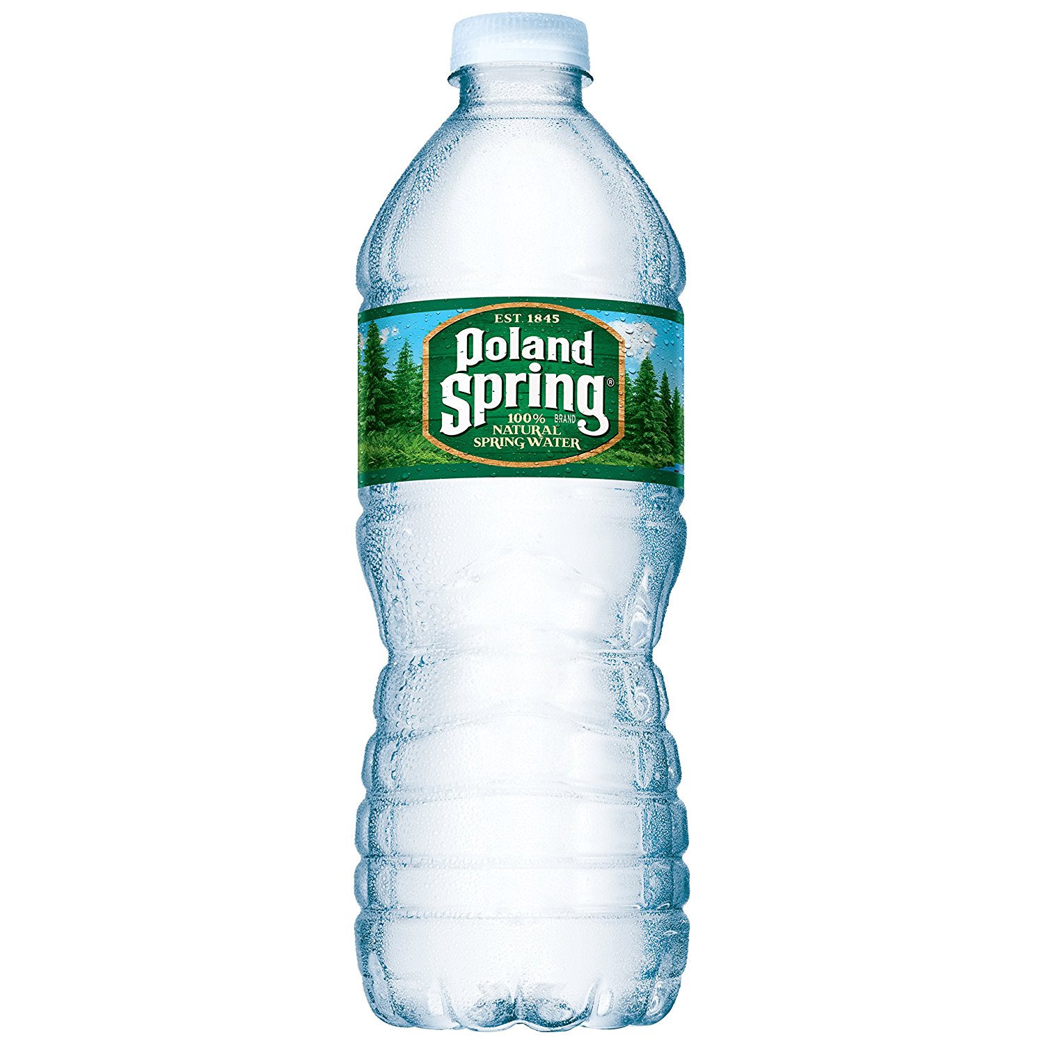 Amazon.com : POLAND SPRING 100% Natural Spring Water, 16.9-ounce ...