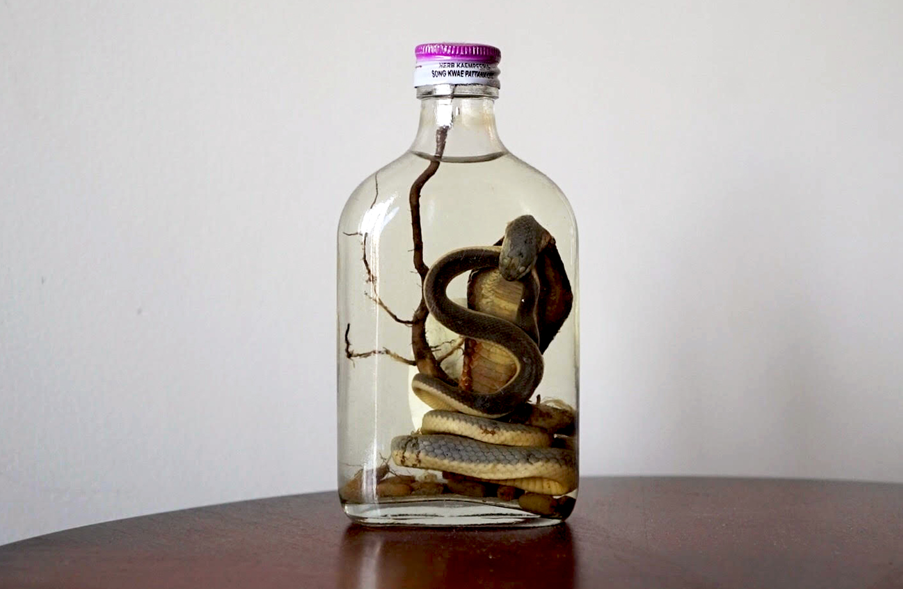 What Is Snake Whiskey?