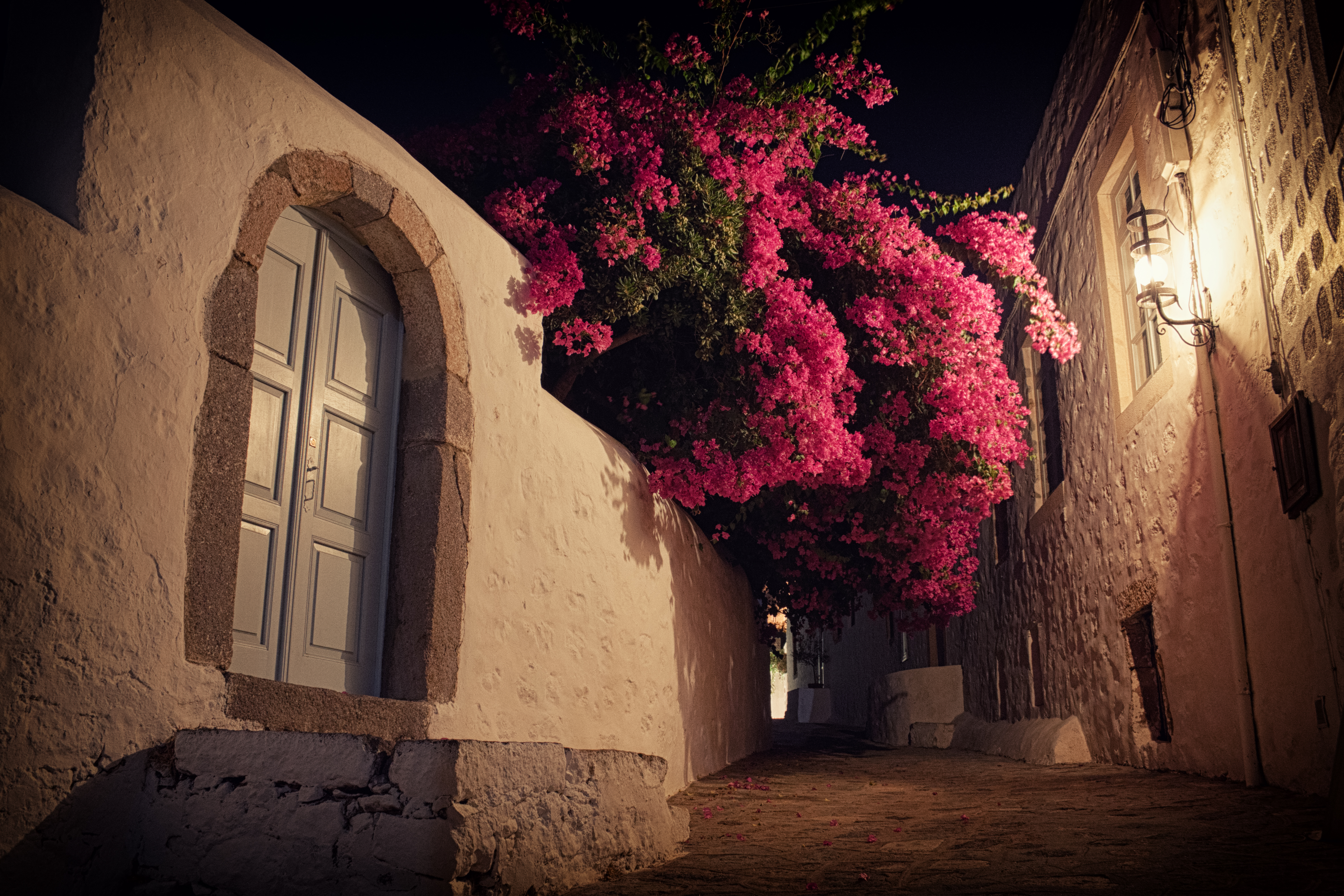 Bougainvillea at Night, 500d, Hora, Travel, Streets, HQ Photo