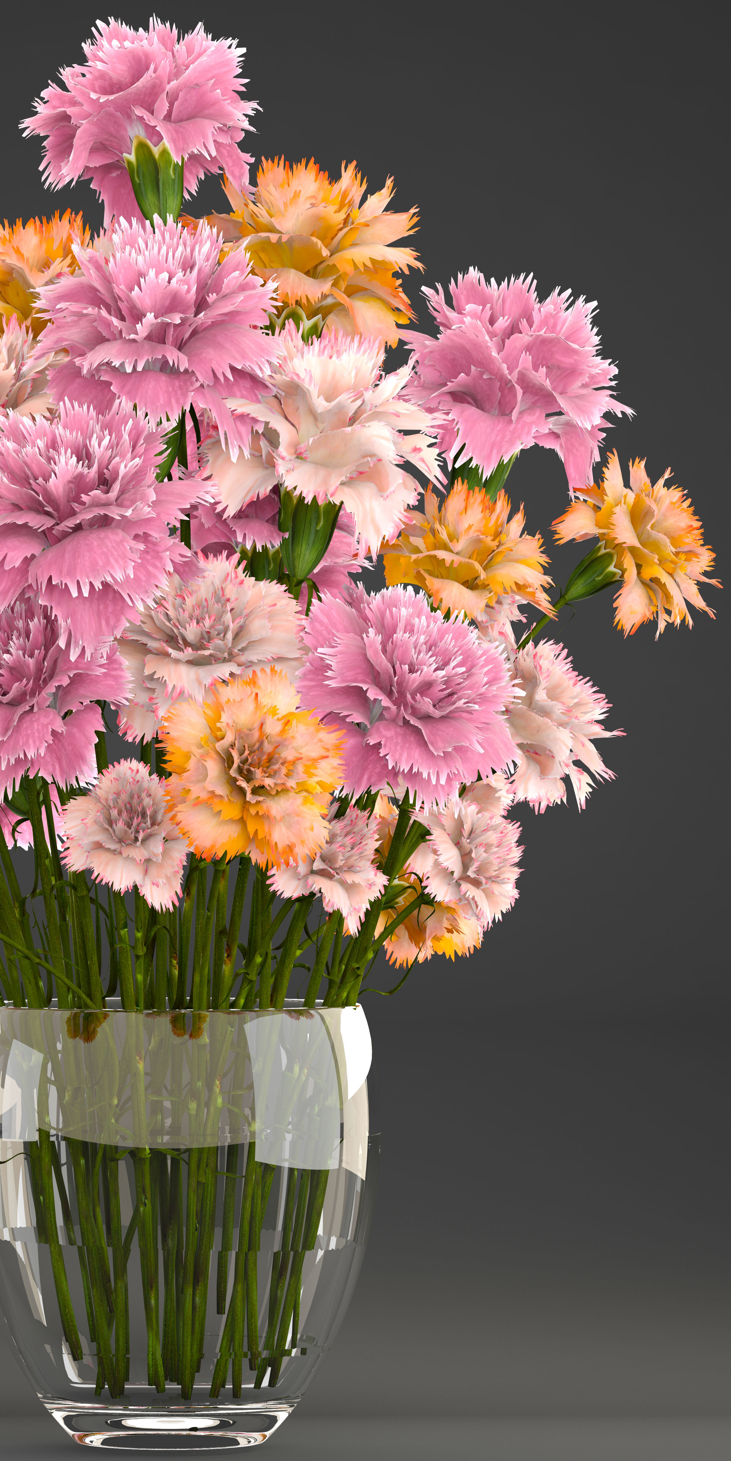 3D Bouquet of flowers Dianthus | CGTrader