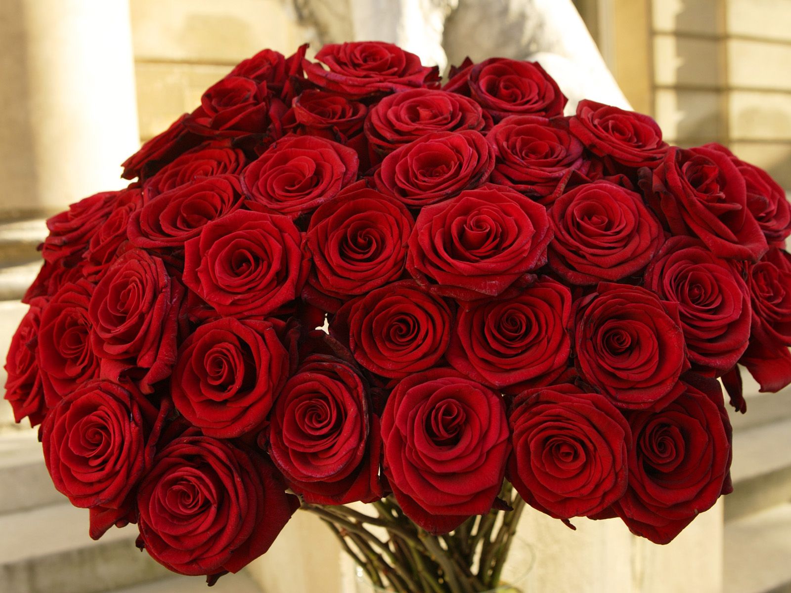 Bouquet of Red Roses - hqworld.net - high quality sport and ...