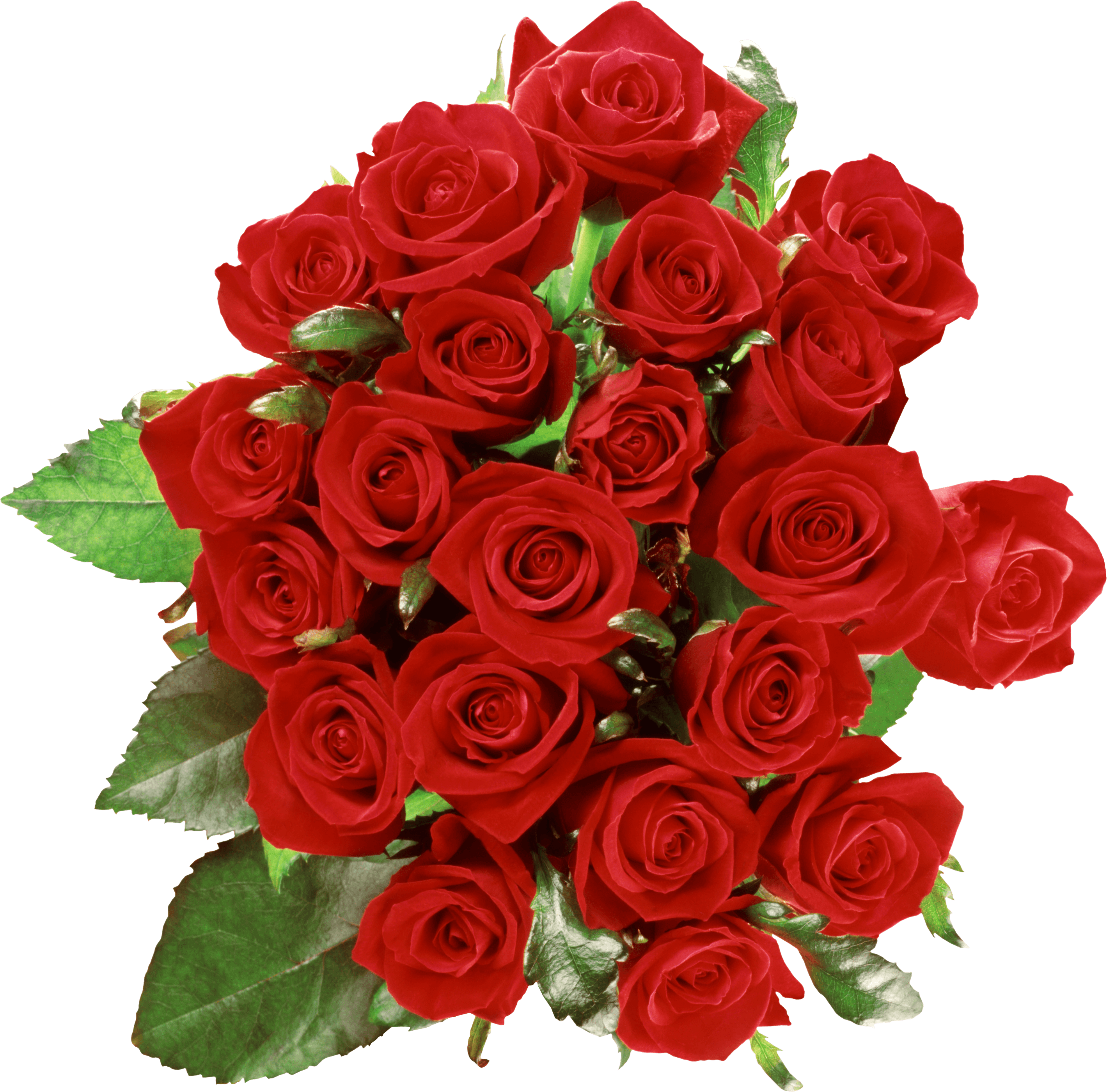 Bouquet Of Roses transparent PNG - StickPNG