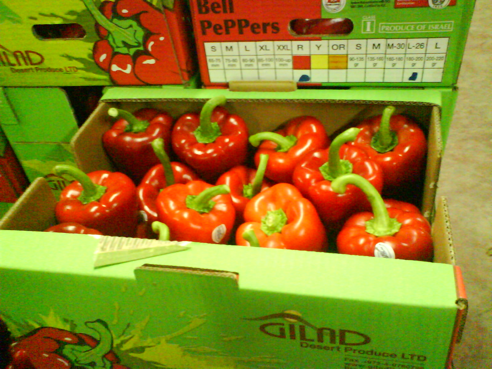 Box of peppers photo