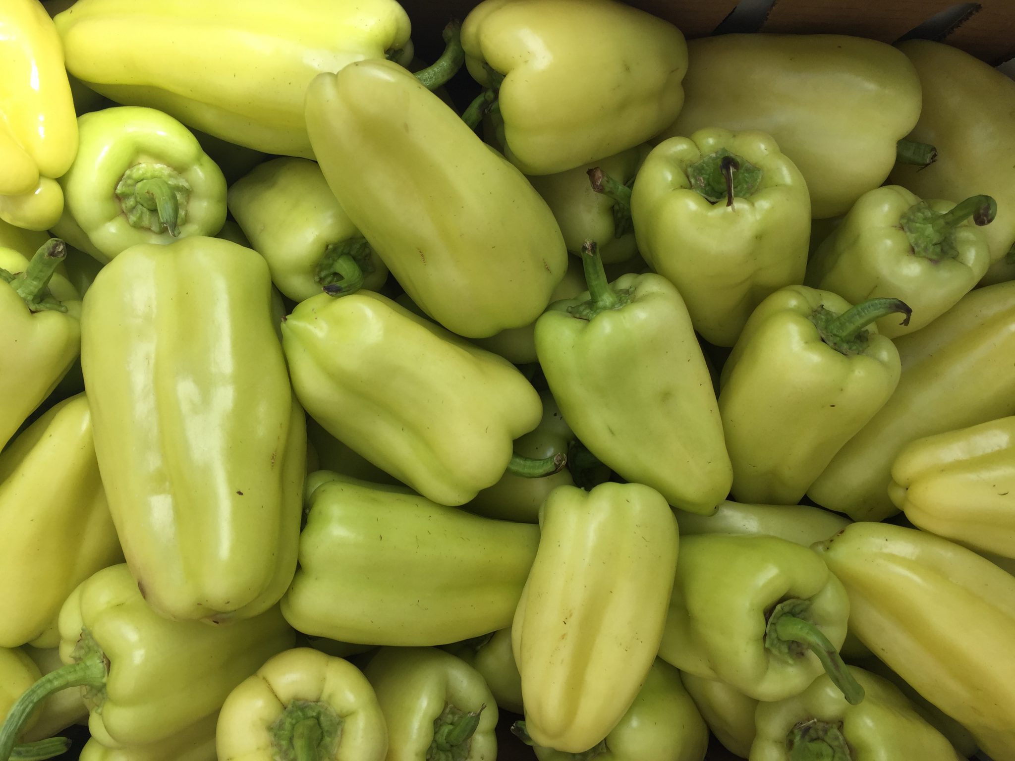 Gypsy Peppers – 10lbs – Foley's Produce
