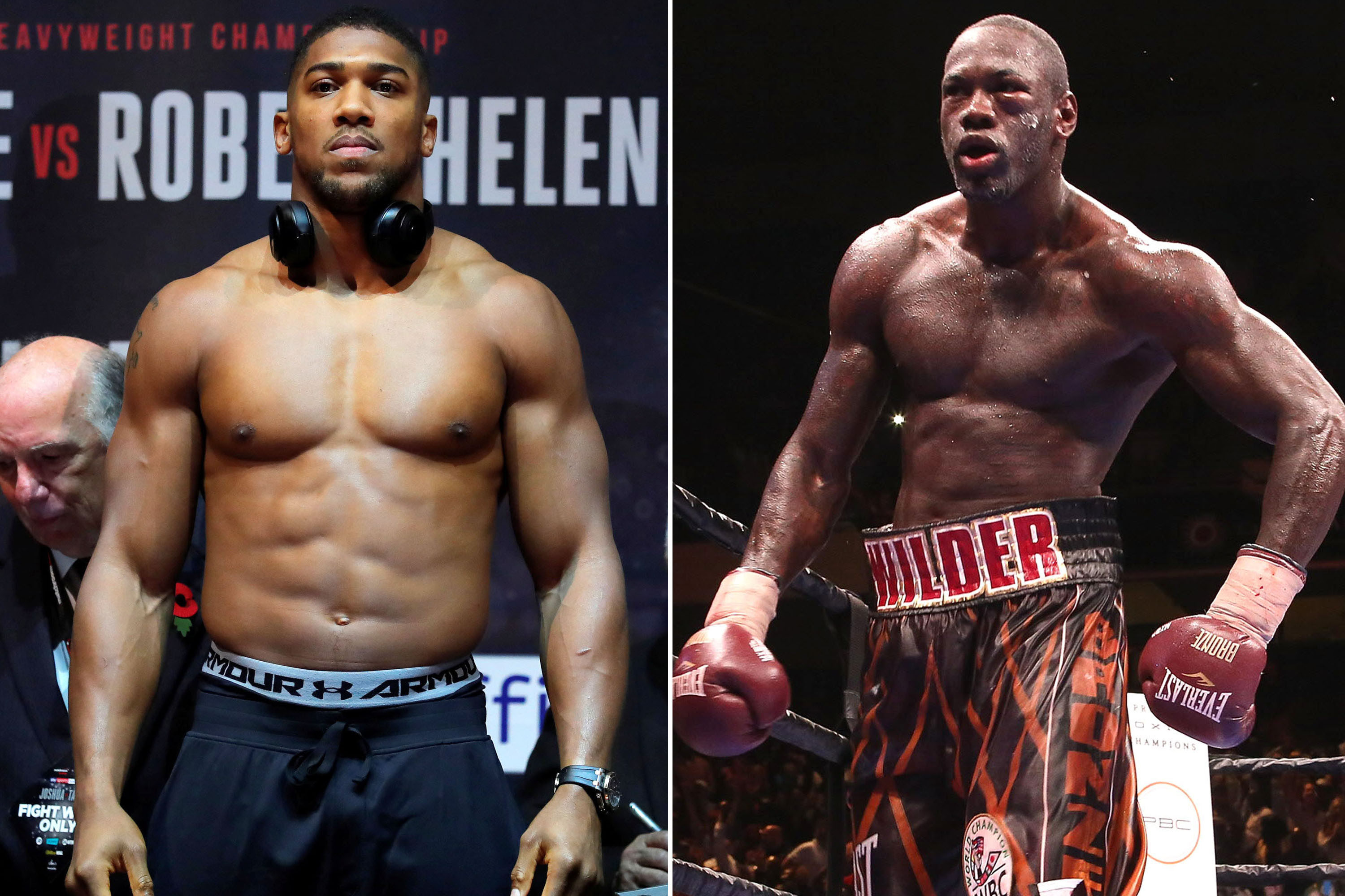 Boxing fans will get heavyweight match everyone has wanted