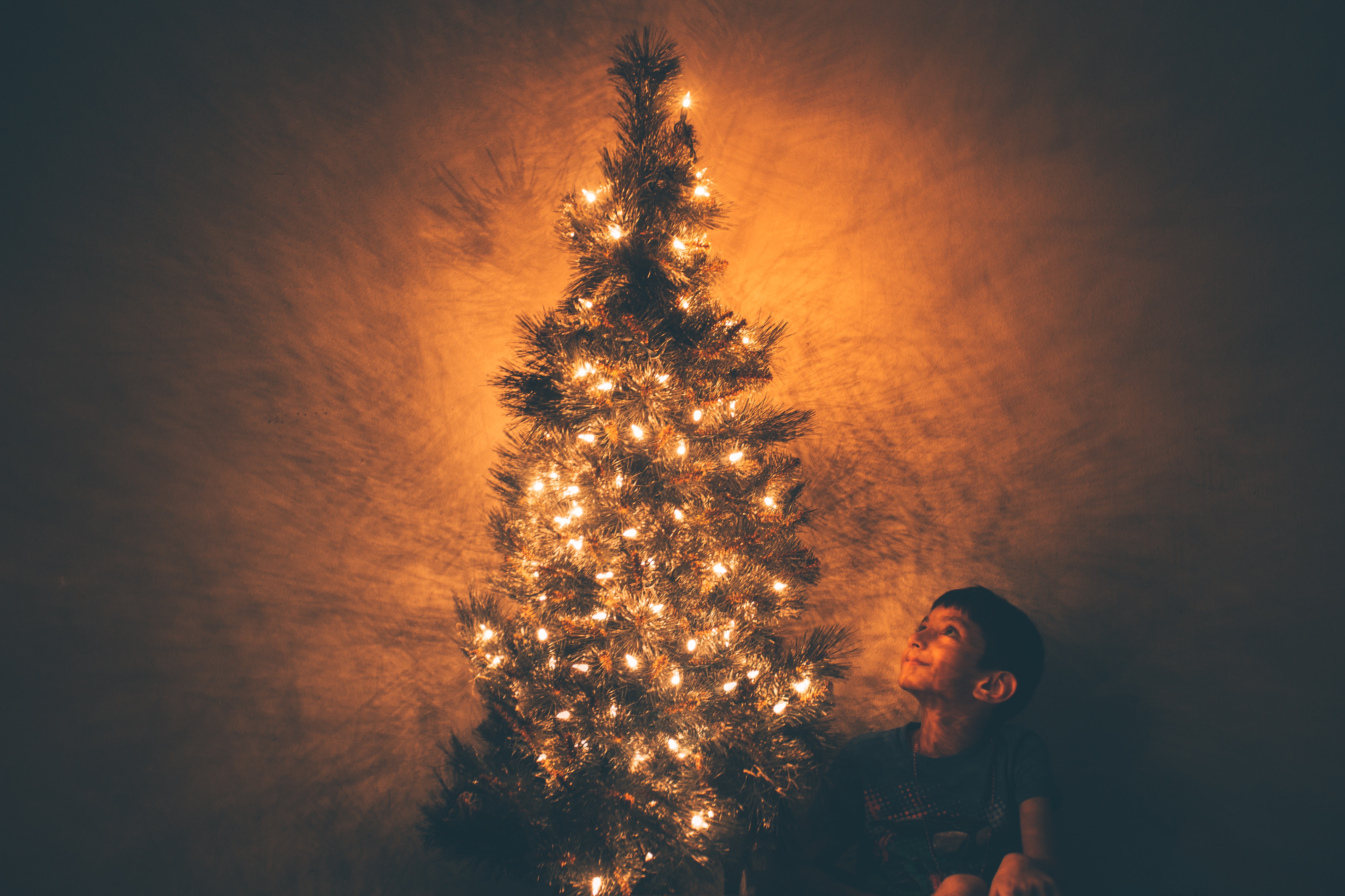 Boy beside christmas tree illustration photo
