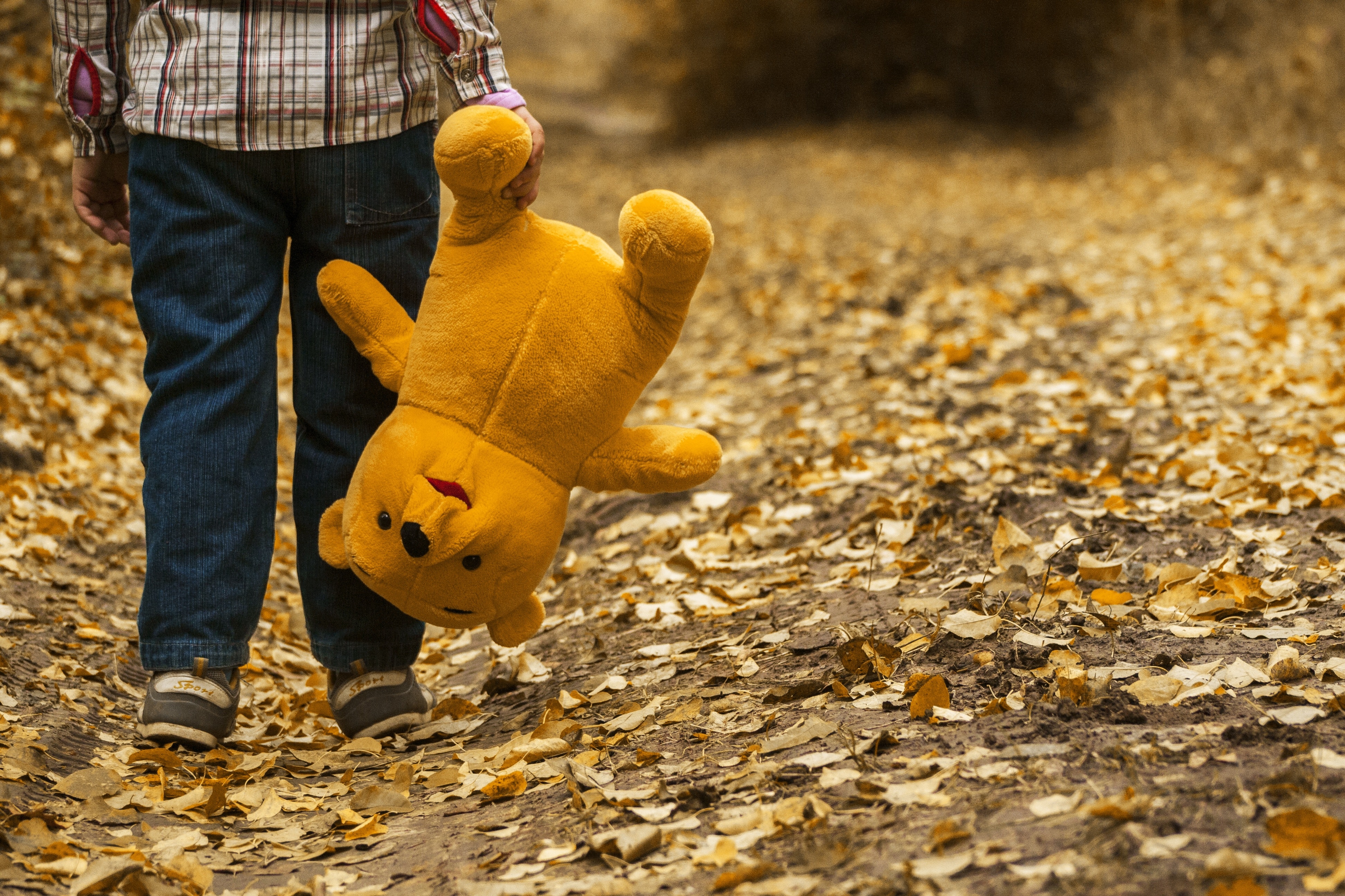 Boy carrying bear plush toy photo